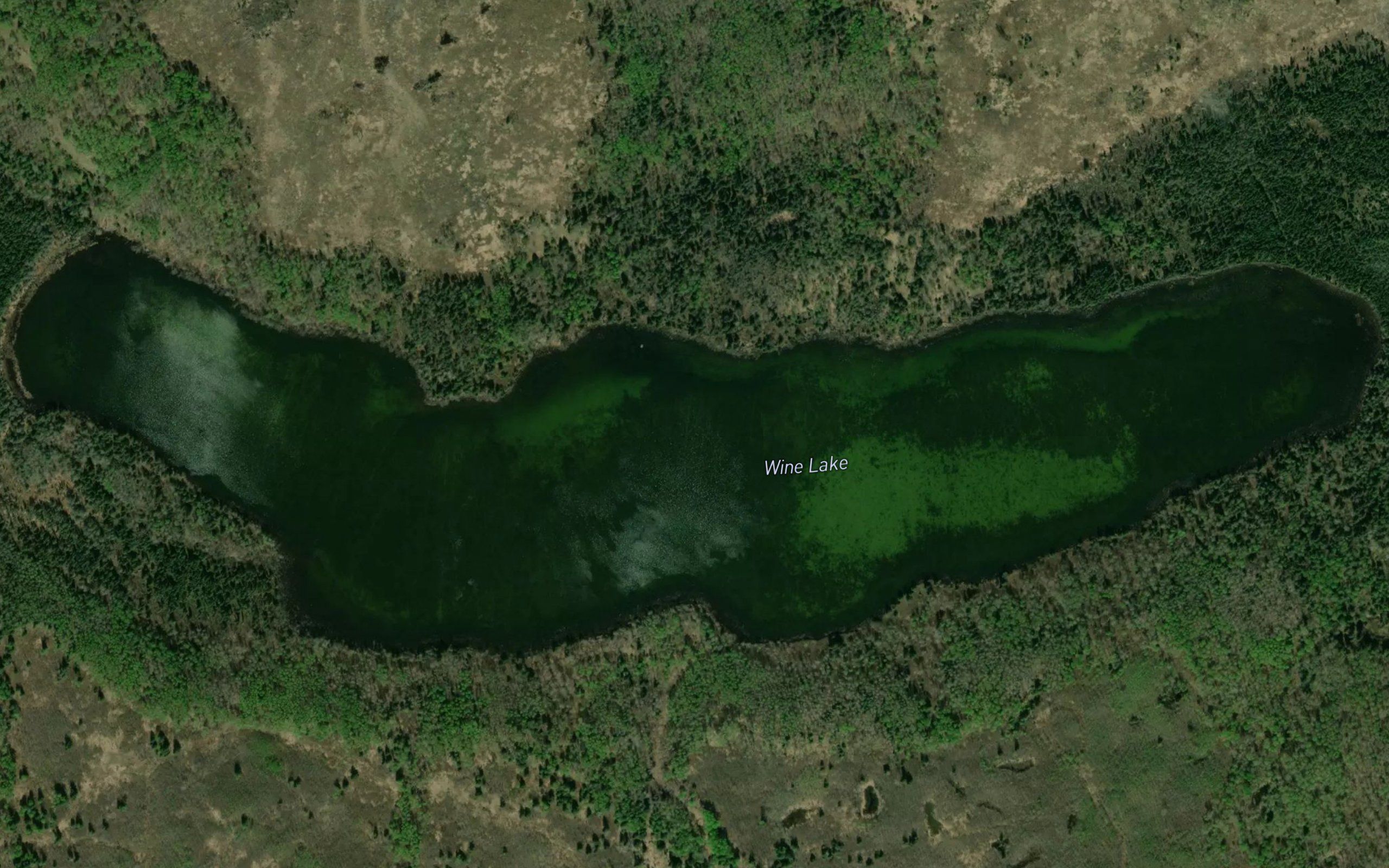 Wine Lake