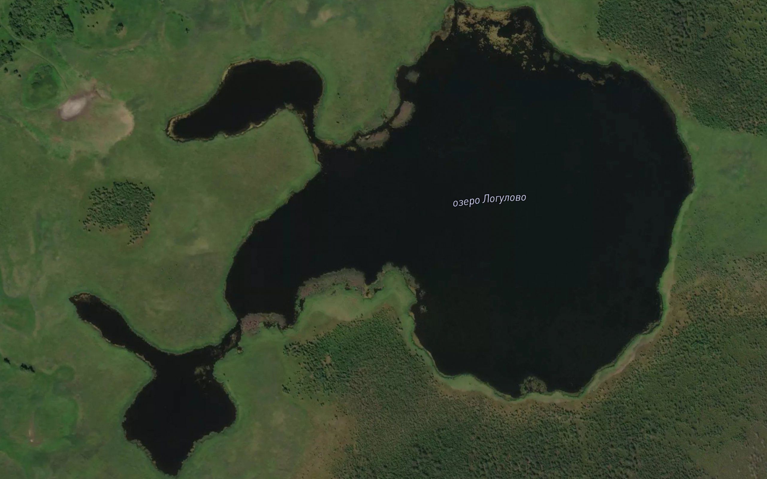 Ozero Logulovo
