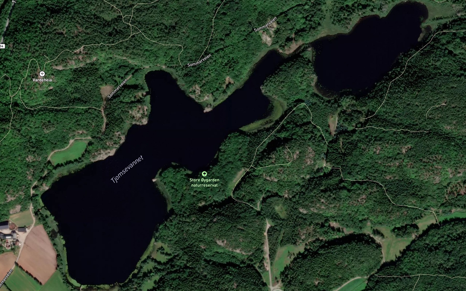 Satellite map of the Tjomsevatnet