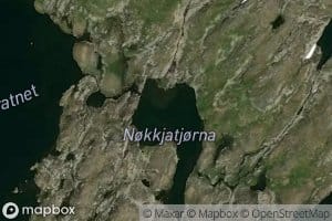 Nokkjatjorni