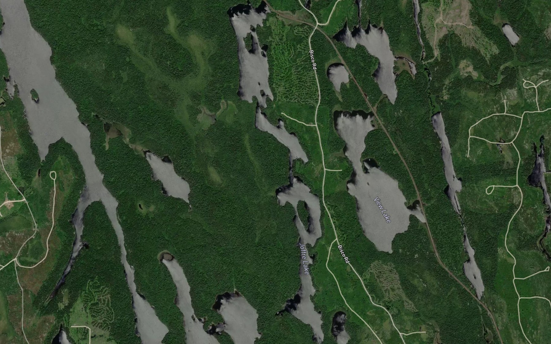 Satellite map of the Joffre Lake