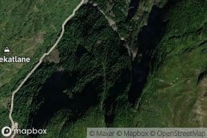 Allmenningane