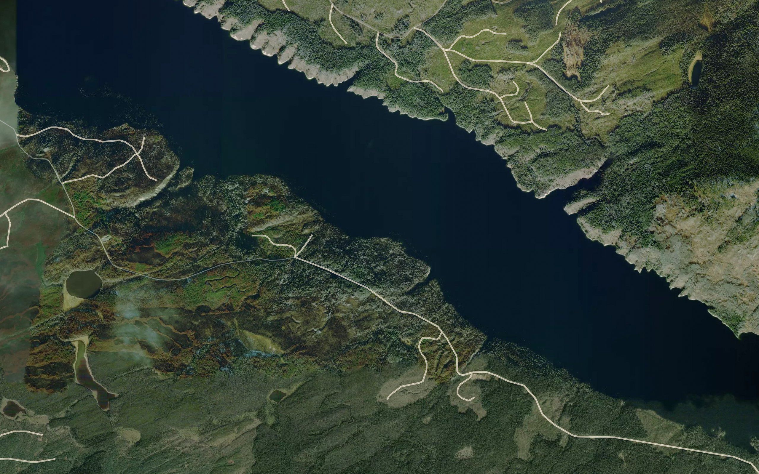 Chelaslie Arm