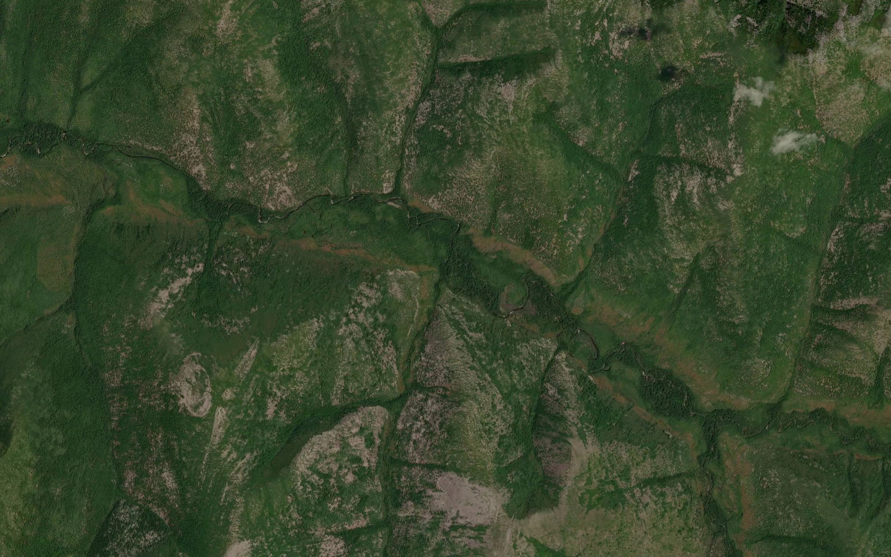 Satellite map of the Medvezhiy