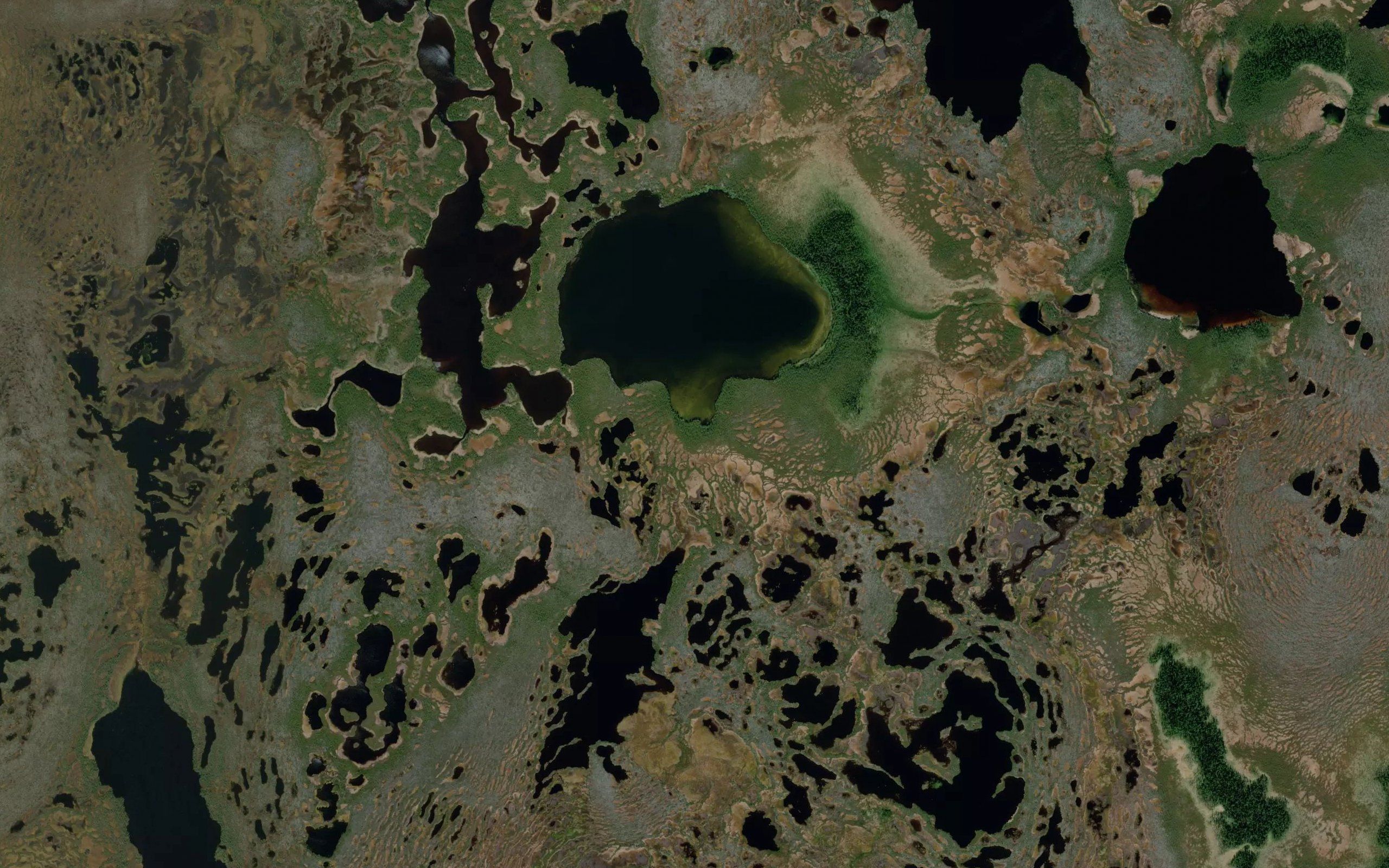 Ozero Bolotnoye