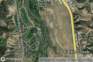 Cattle Creek