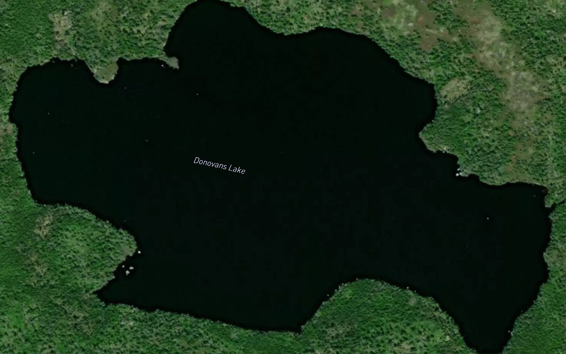 Satellite map of the Donovans Lake
