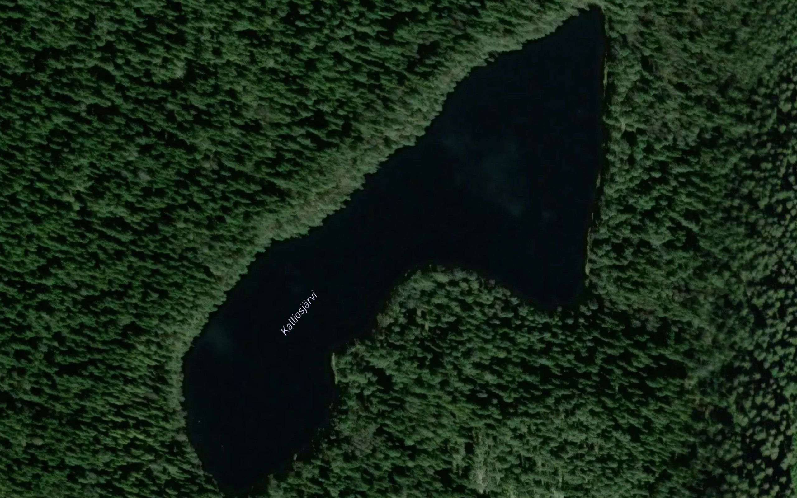 Kallioisjarvi