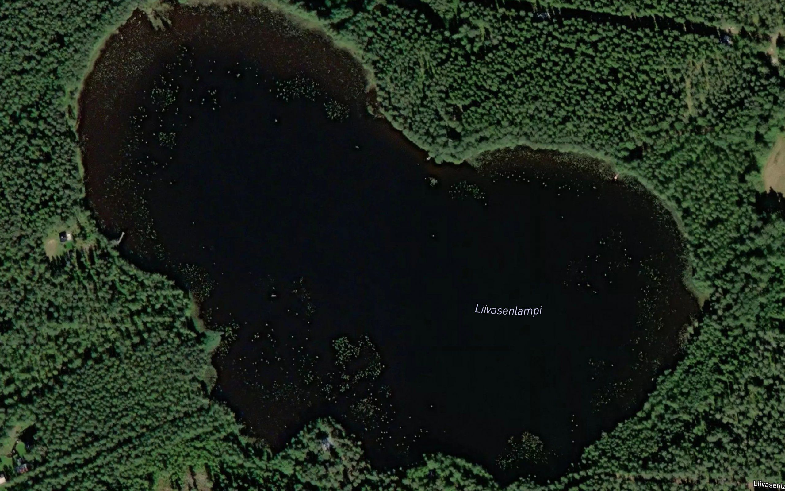 Liivasenlampi