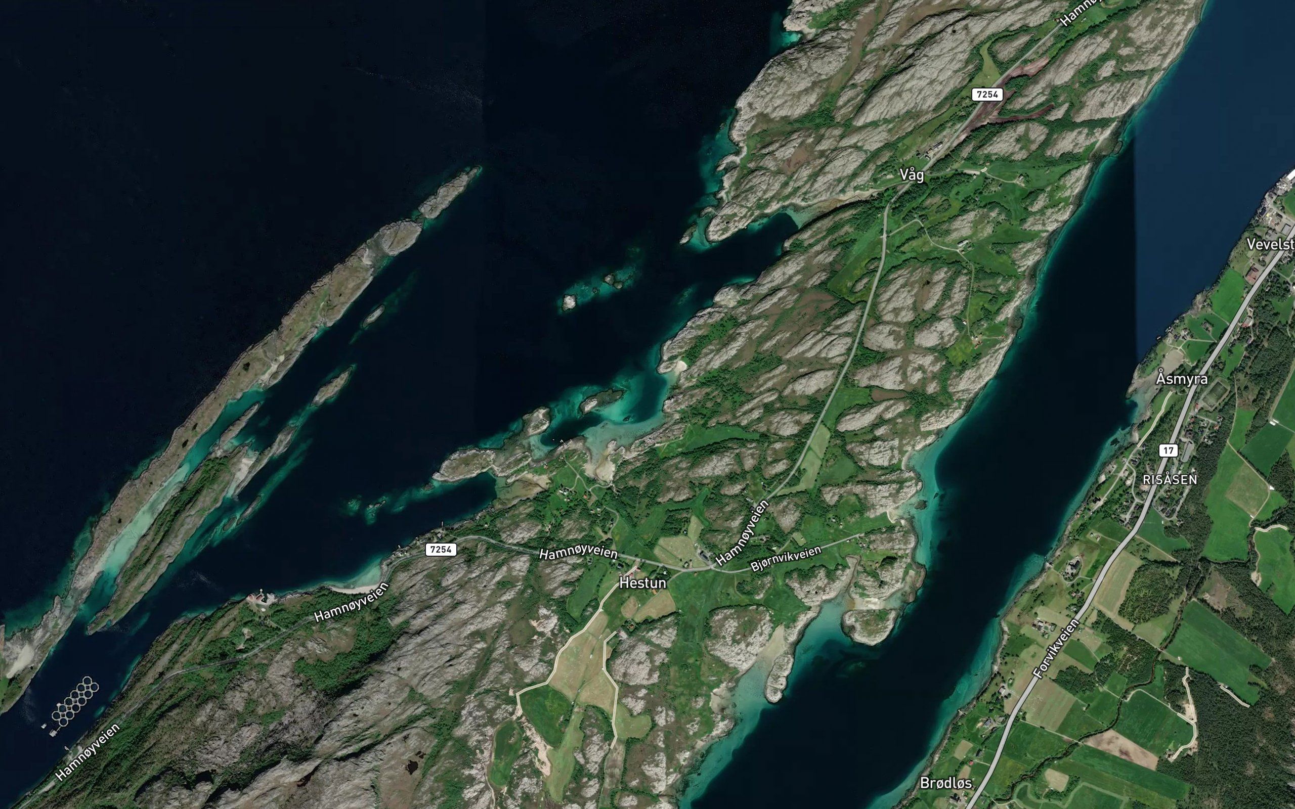 Kjerringvikja