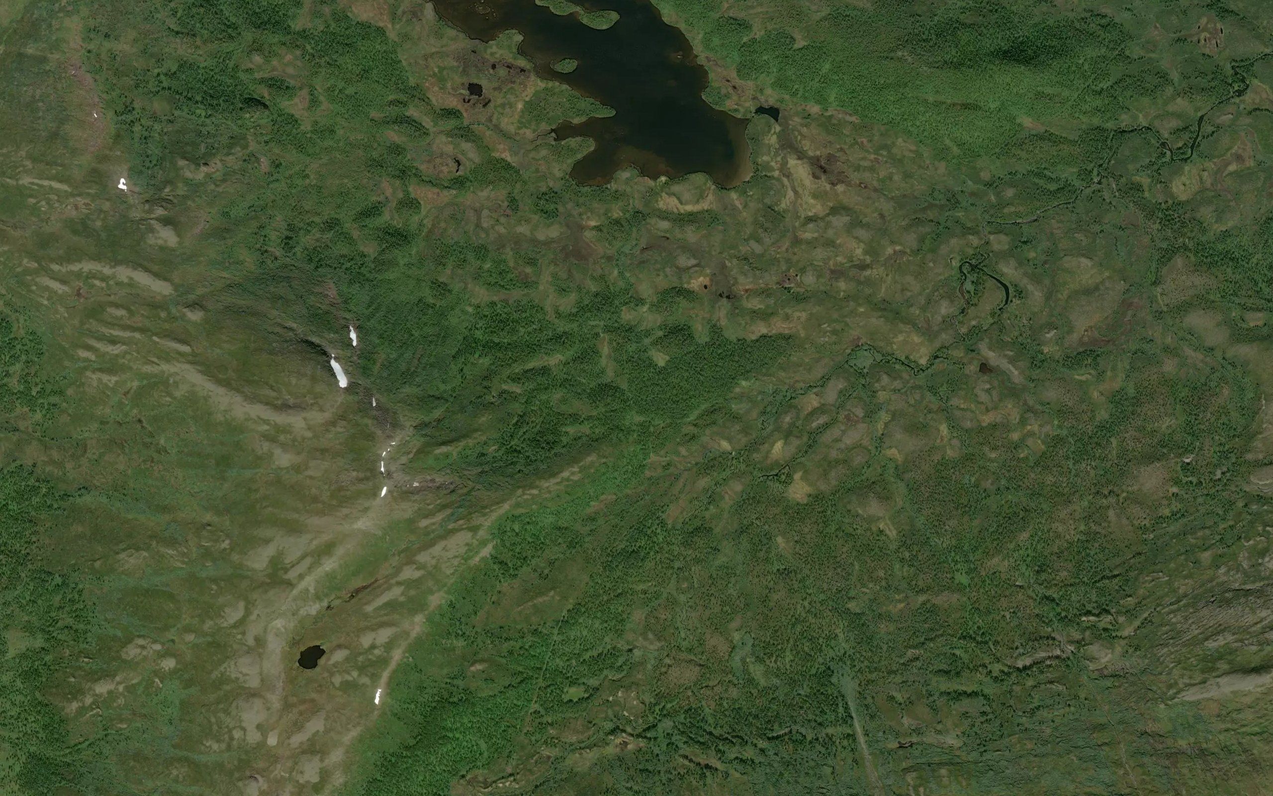 Dakkejaure