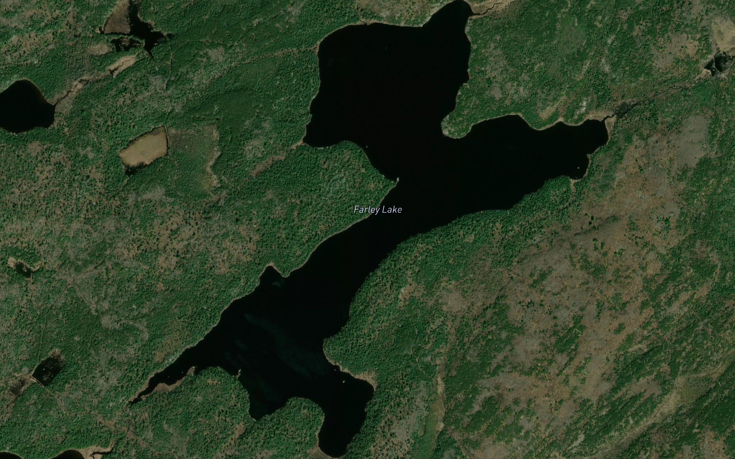Farley Lake