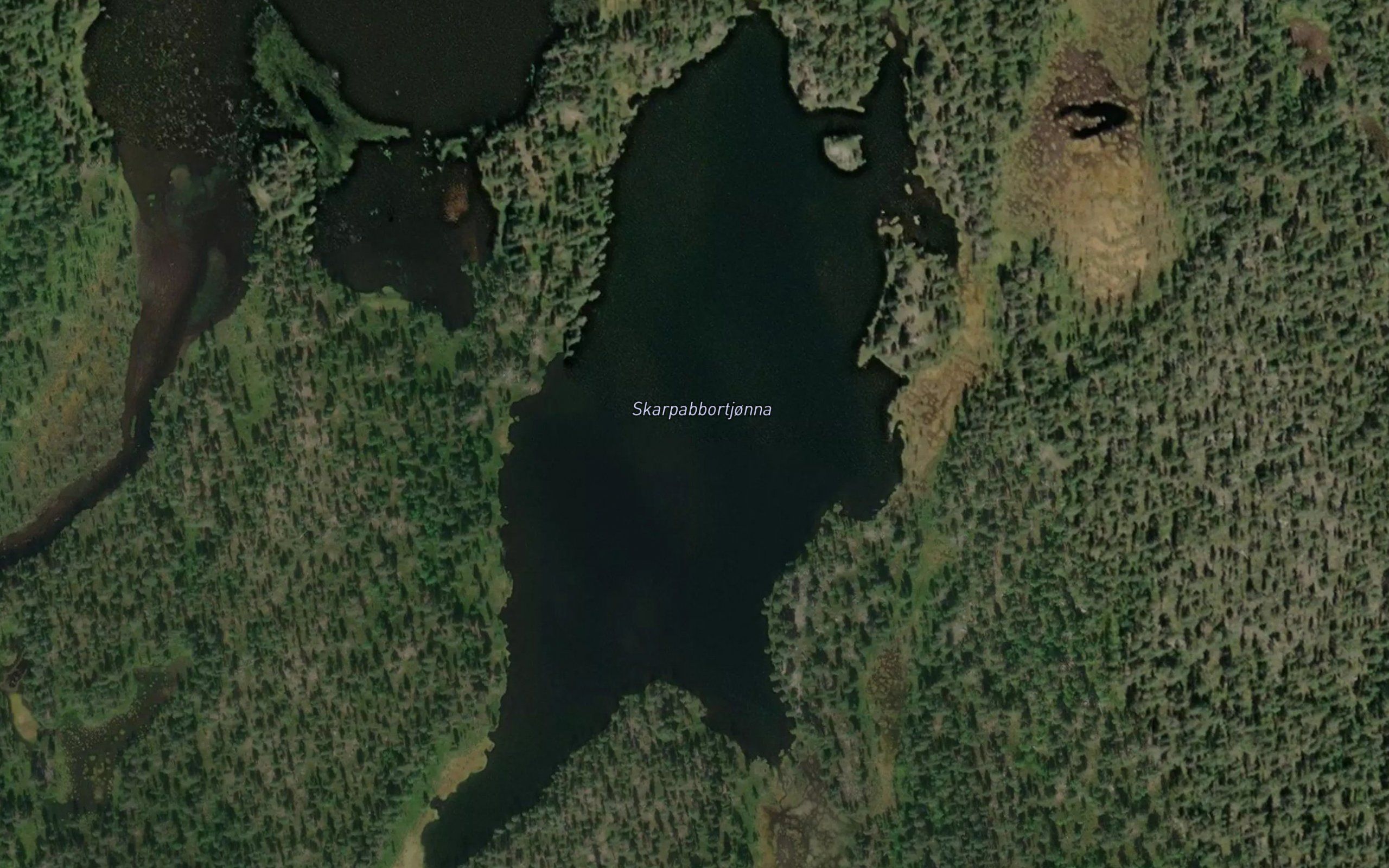 Skarpabbortjorna