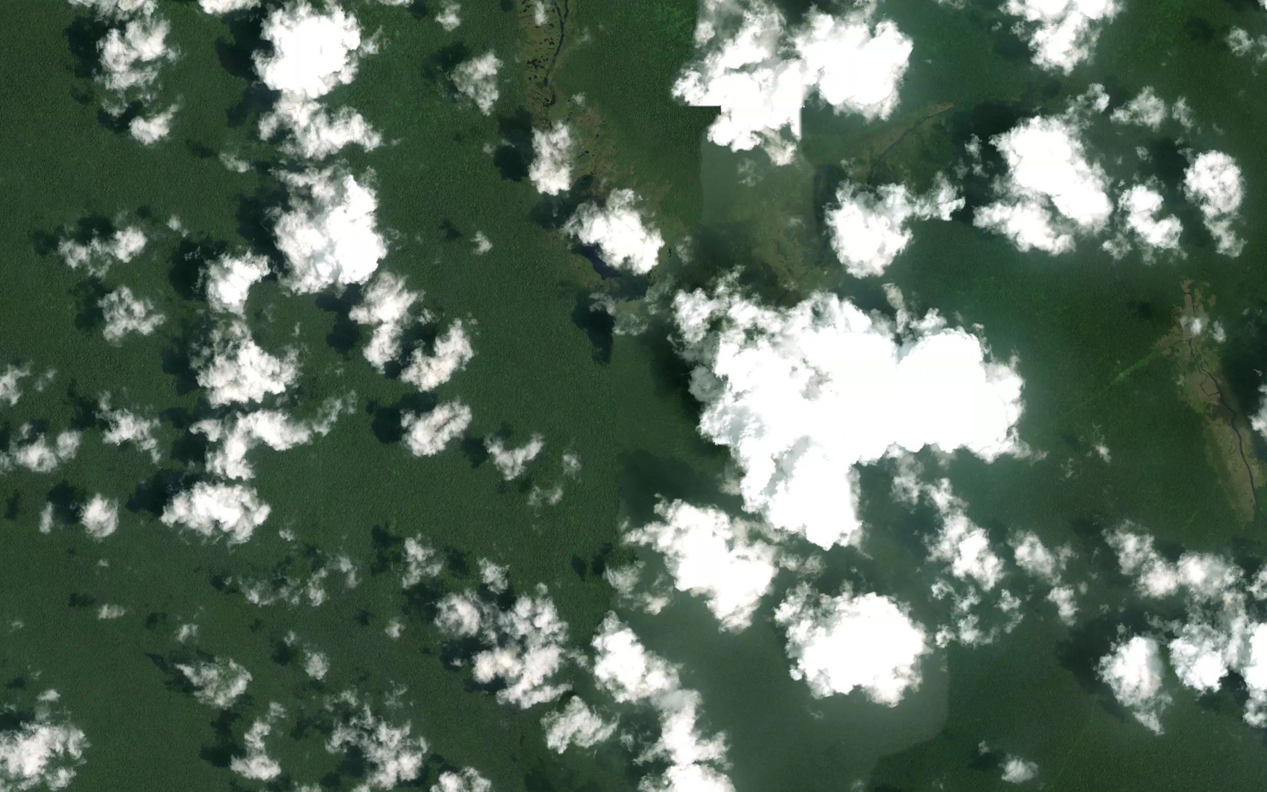 Tasik Sarang Burung