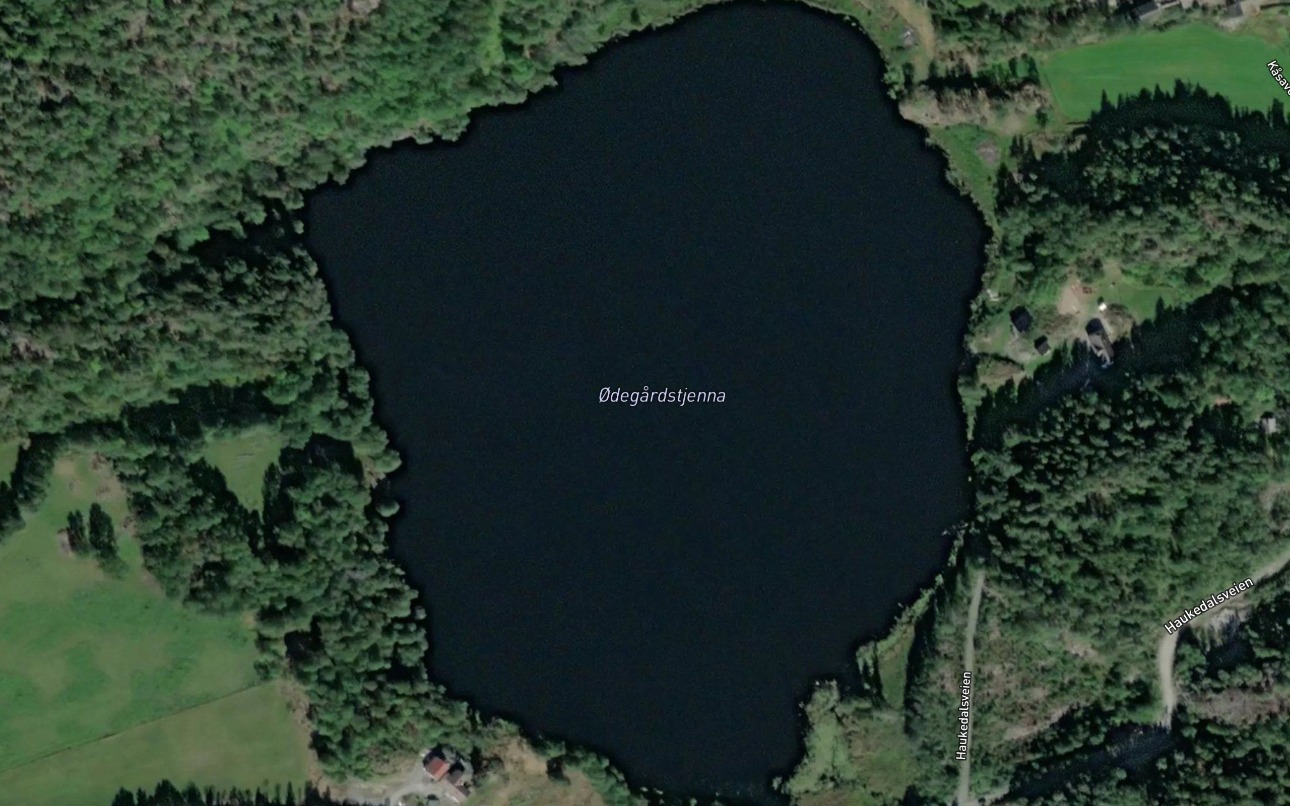Odegardstjenna