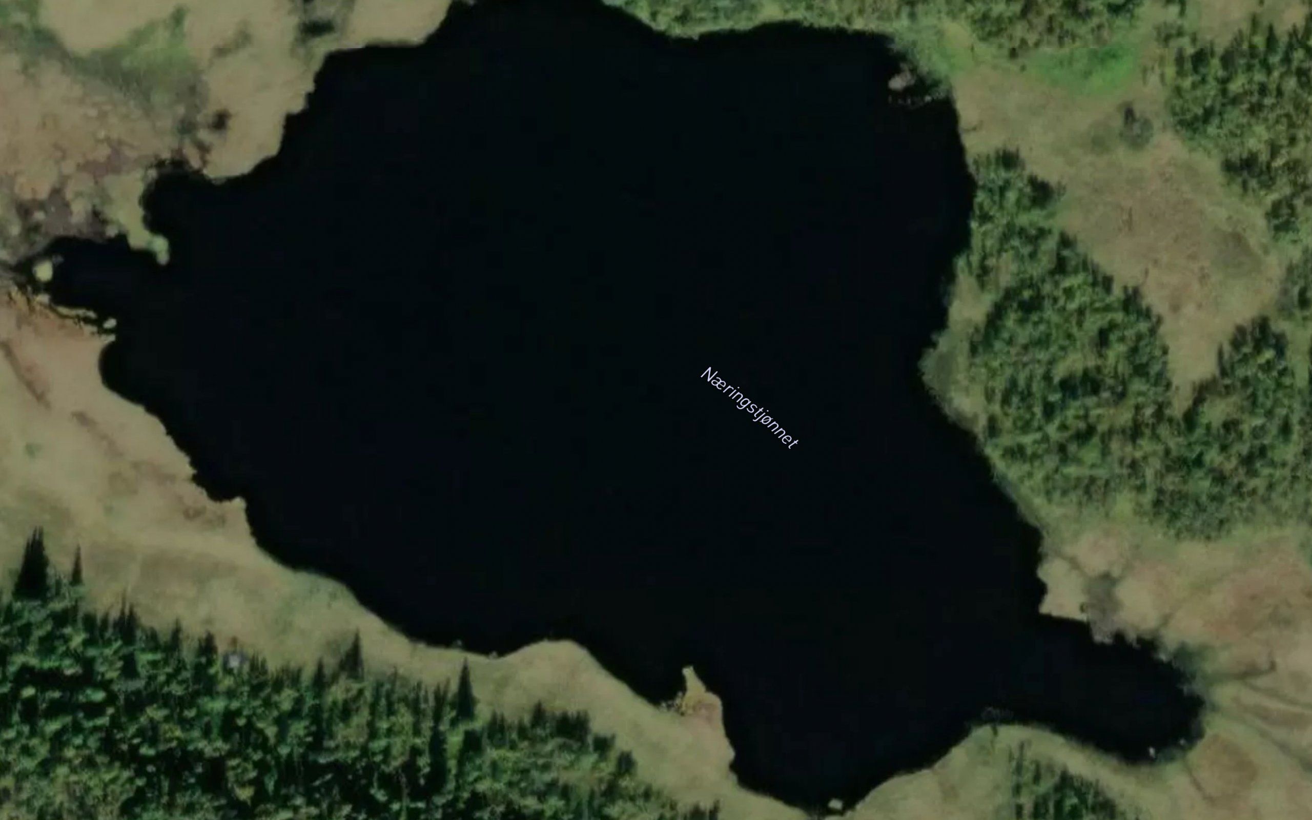 Naeringstjornet