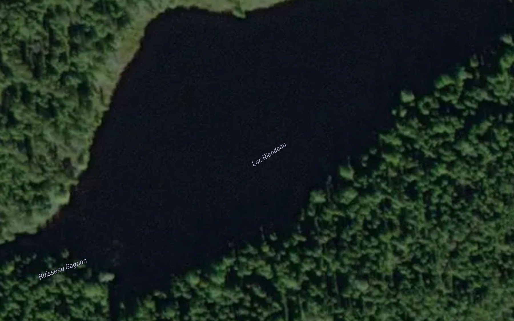 Satellite map of the Lac Riendeau