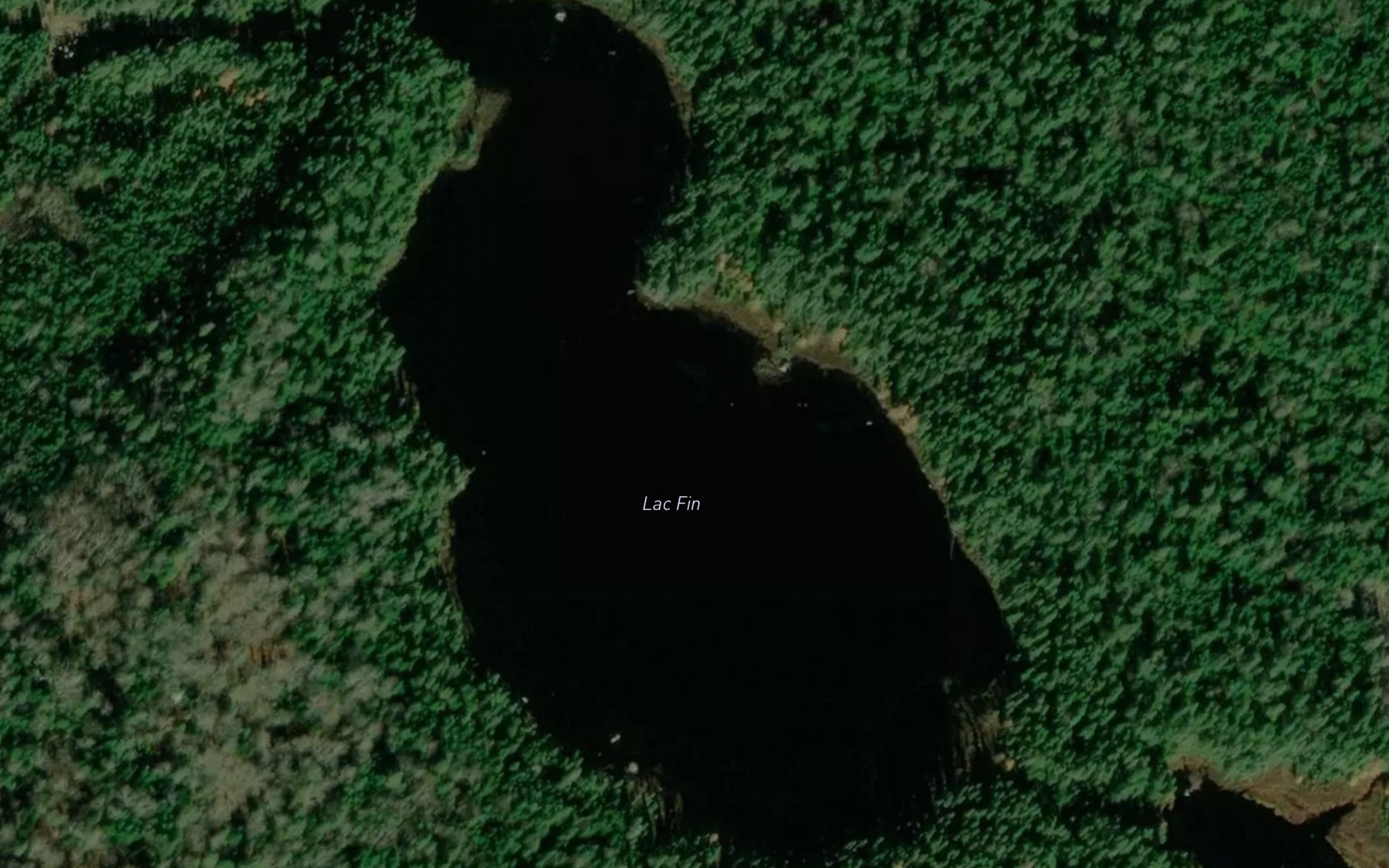 Satellite map of the Lac Fin