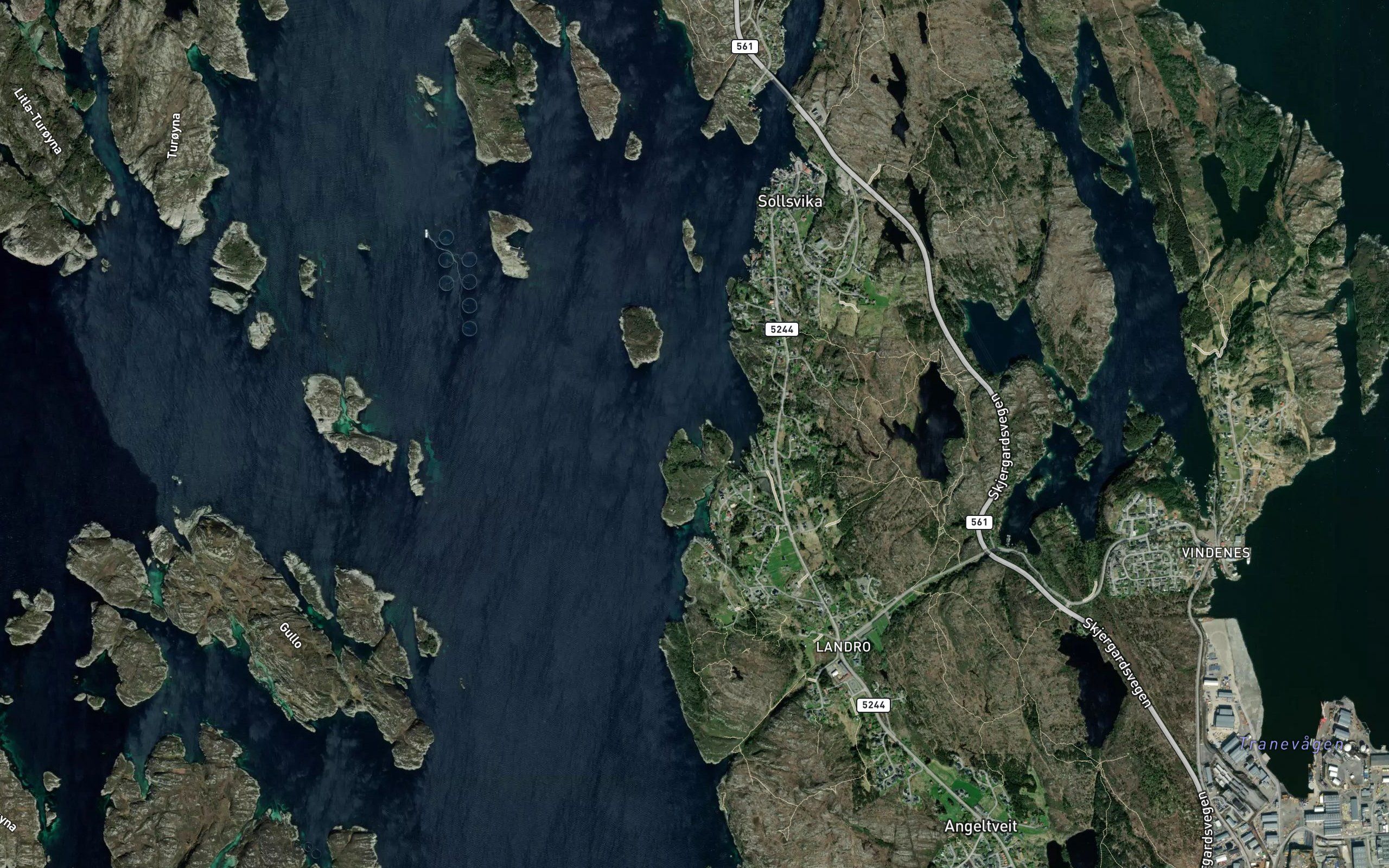 Forevika