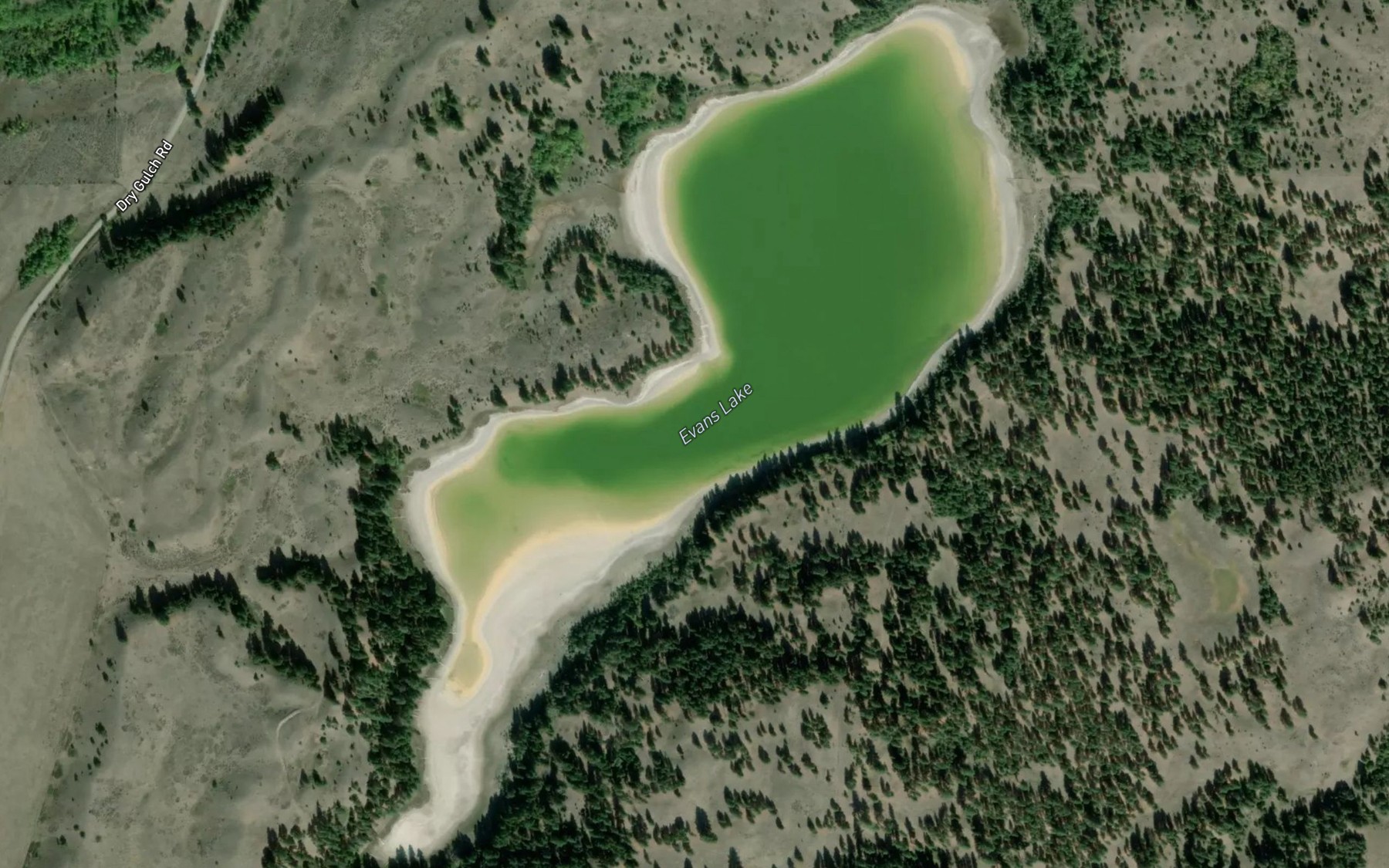 Satellite map of the Evans Lake