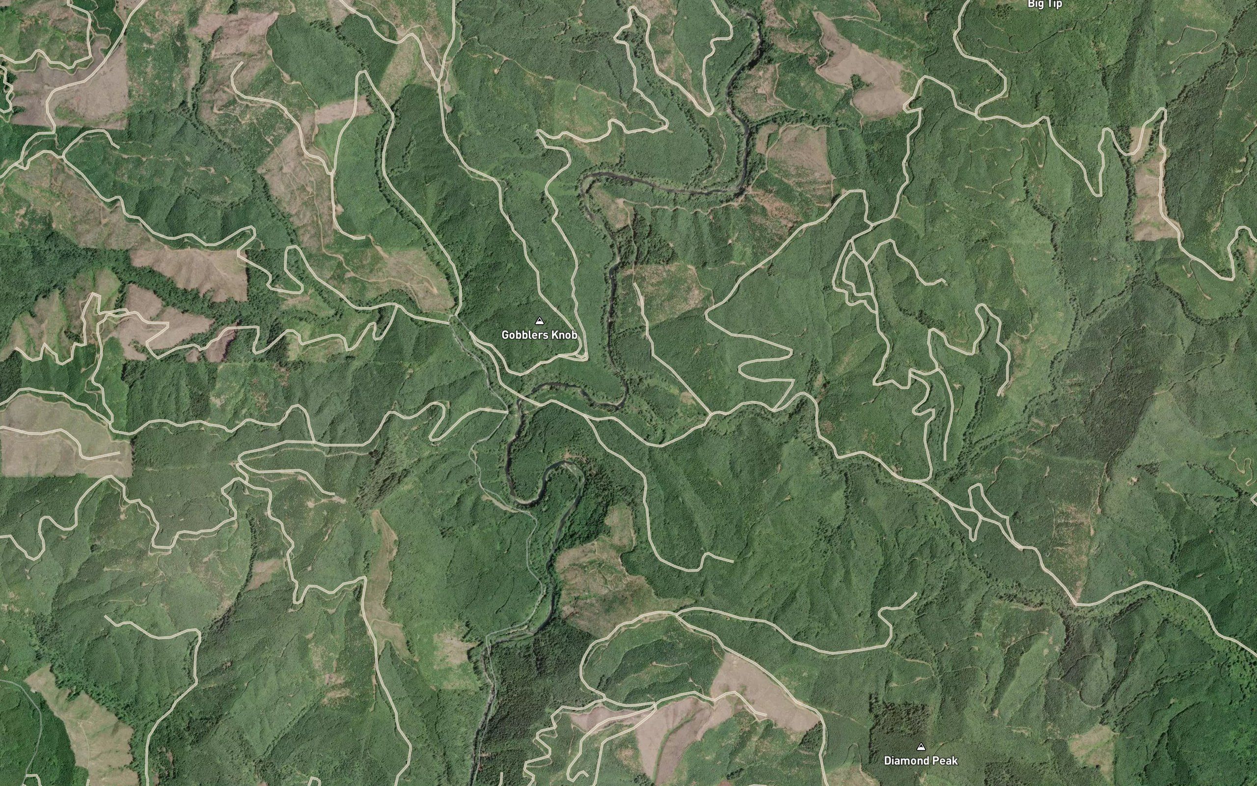 Sunshine Creek