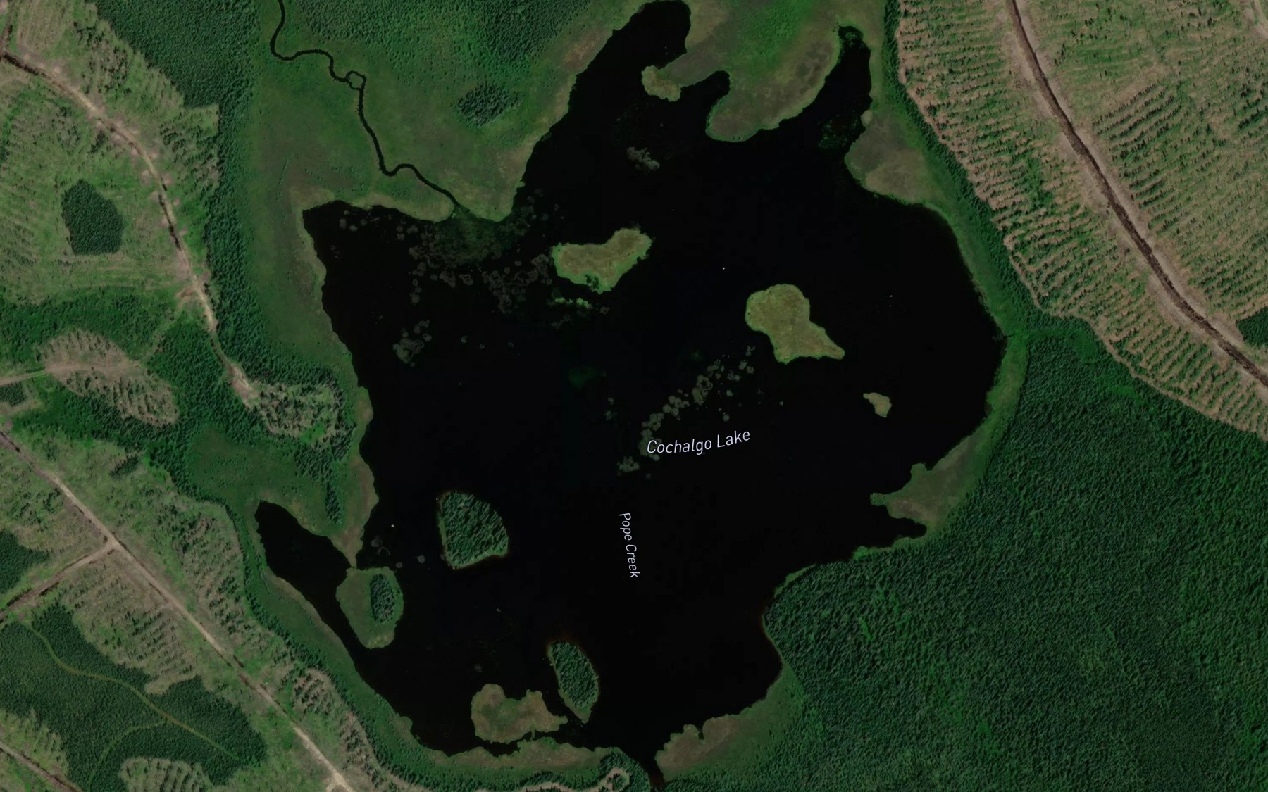 Satellite map of the Cochalgo Lake