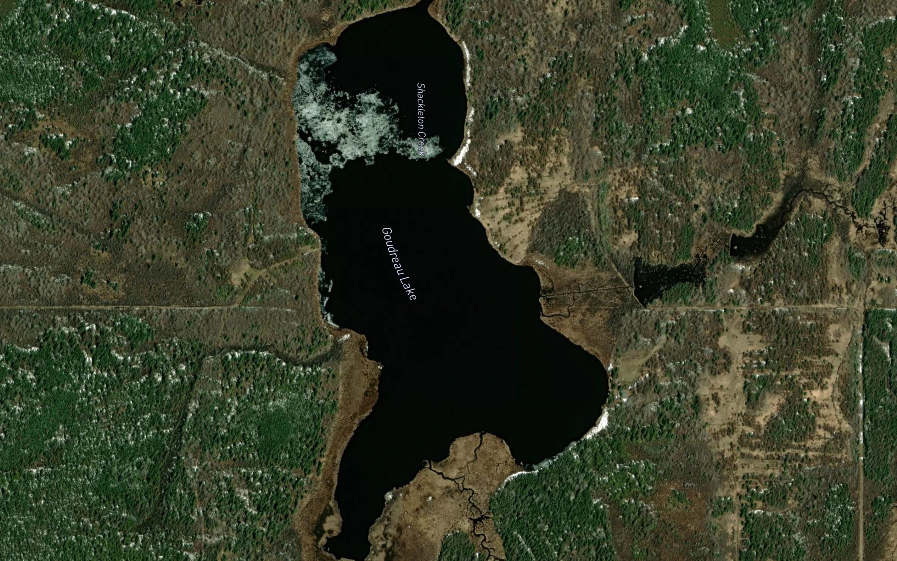 Satellite map of the Goudreau Lake