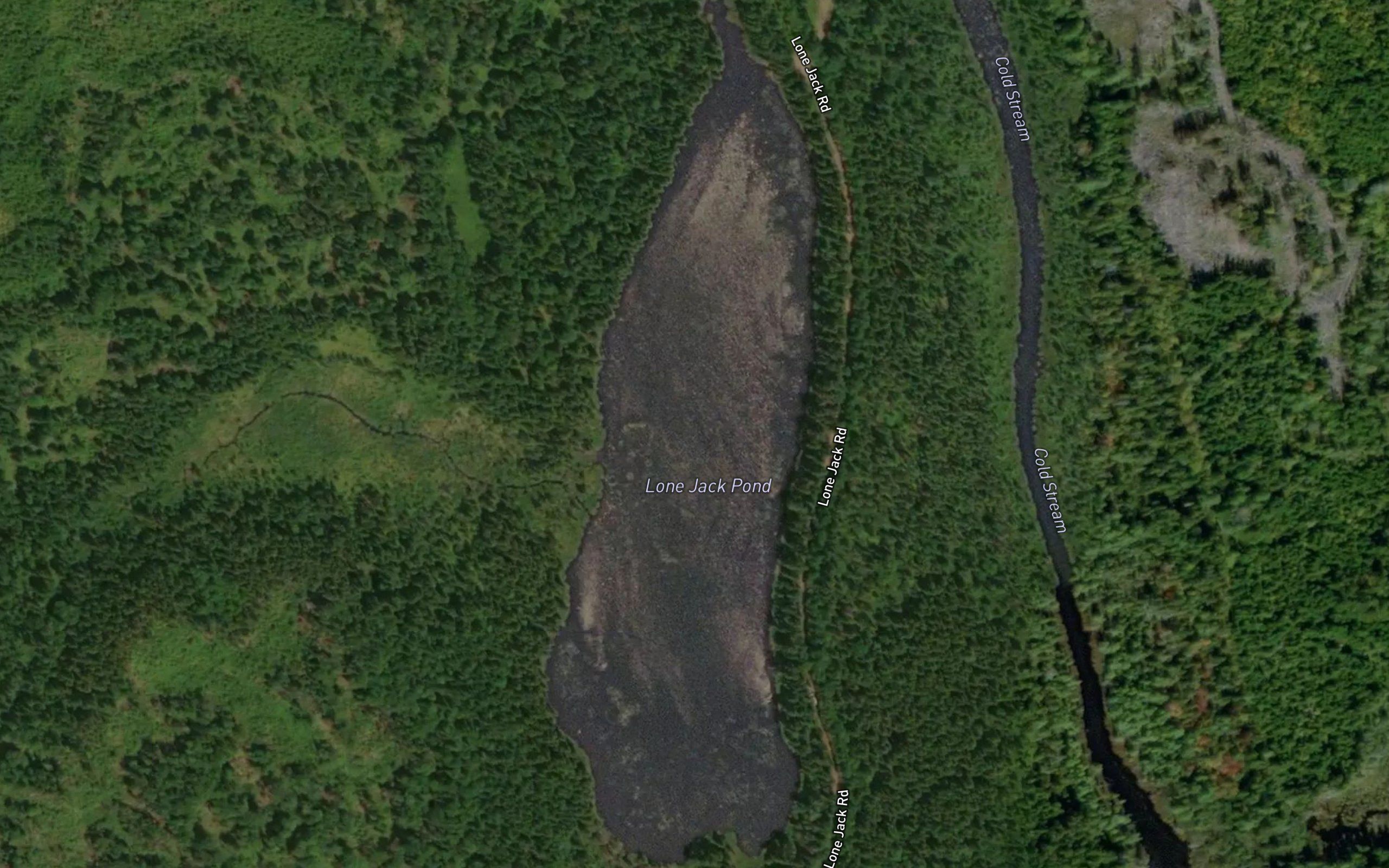 Lone Jack Pond