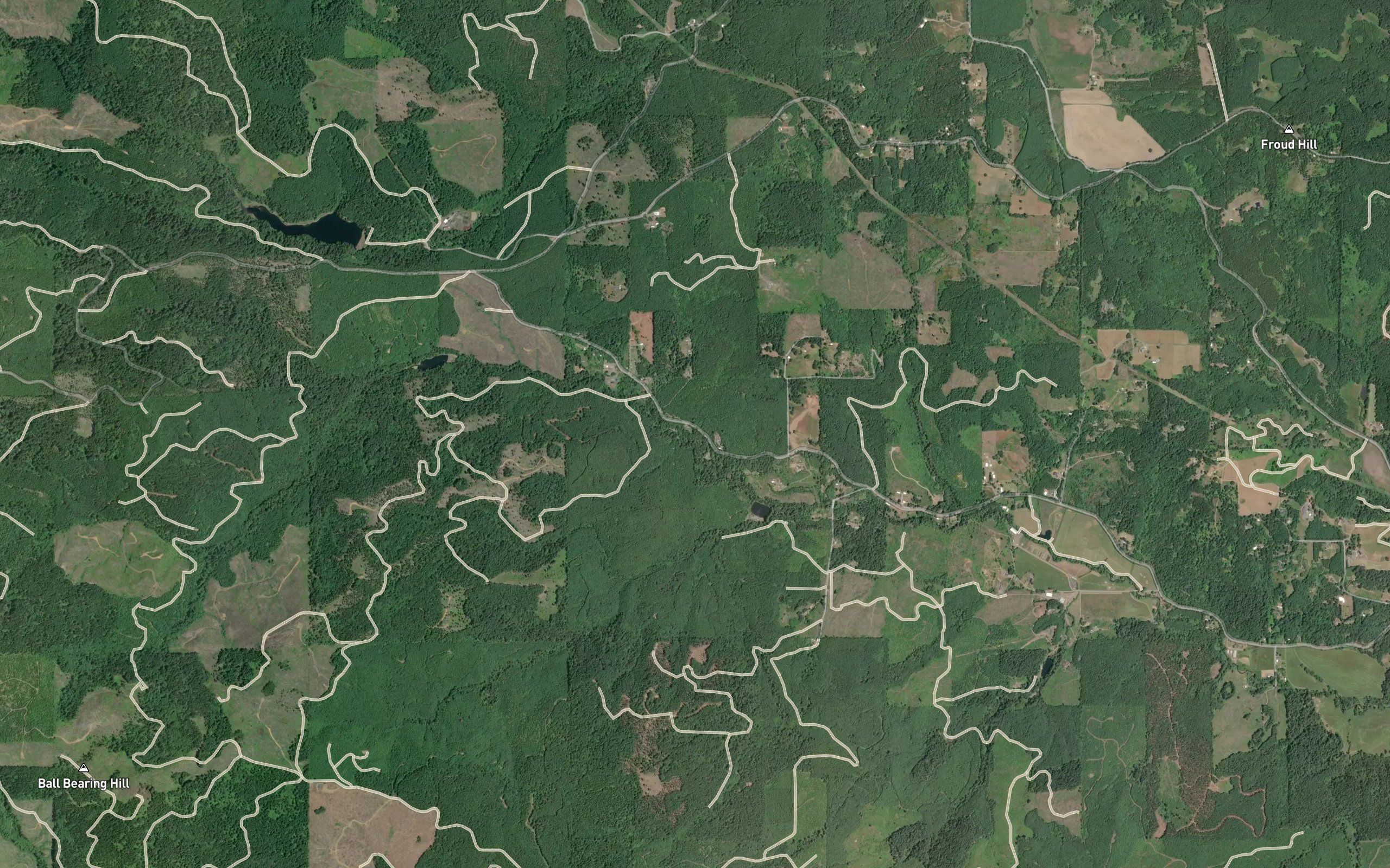 Bailey Spring