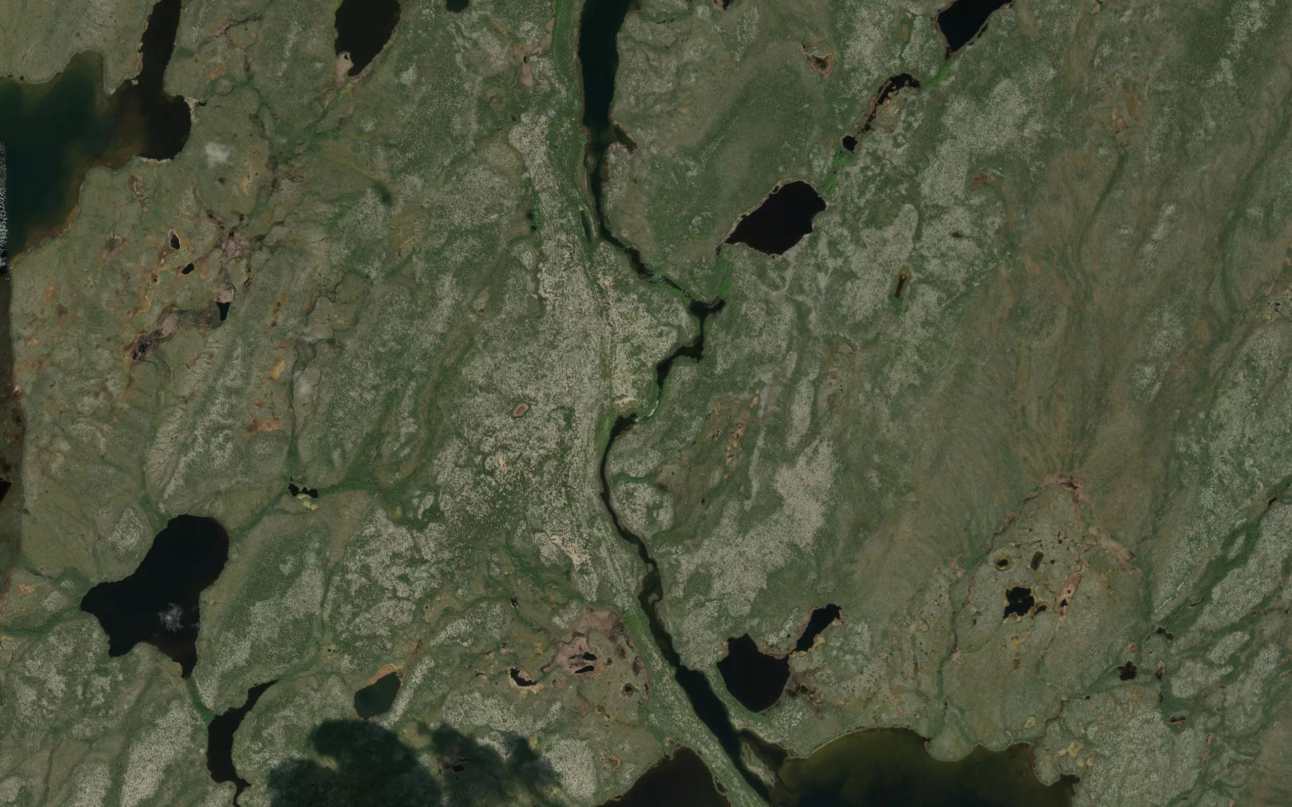 Dawson Rapids