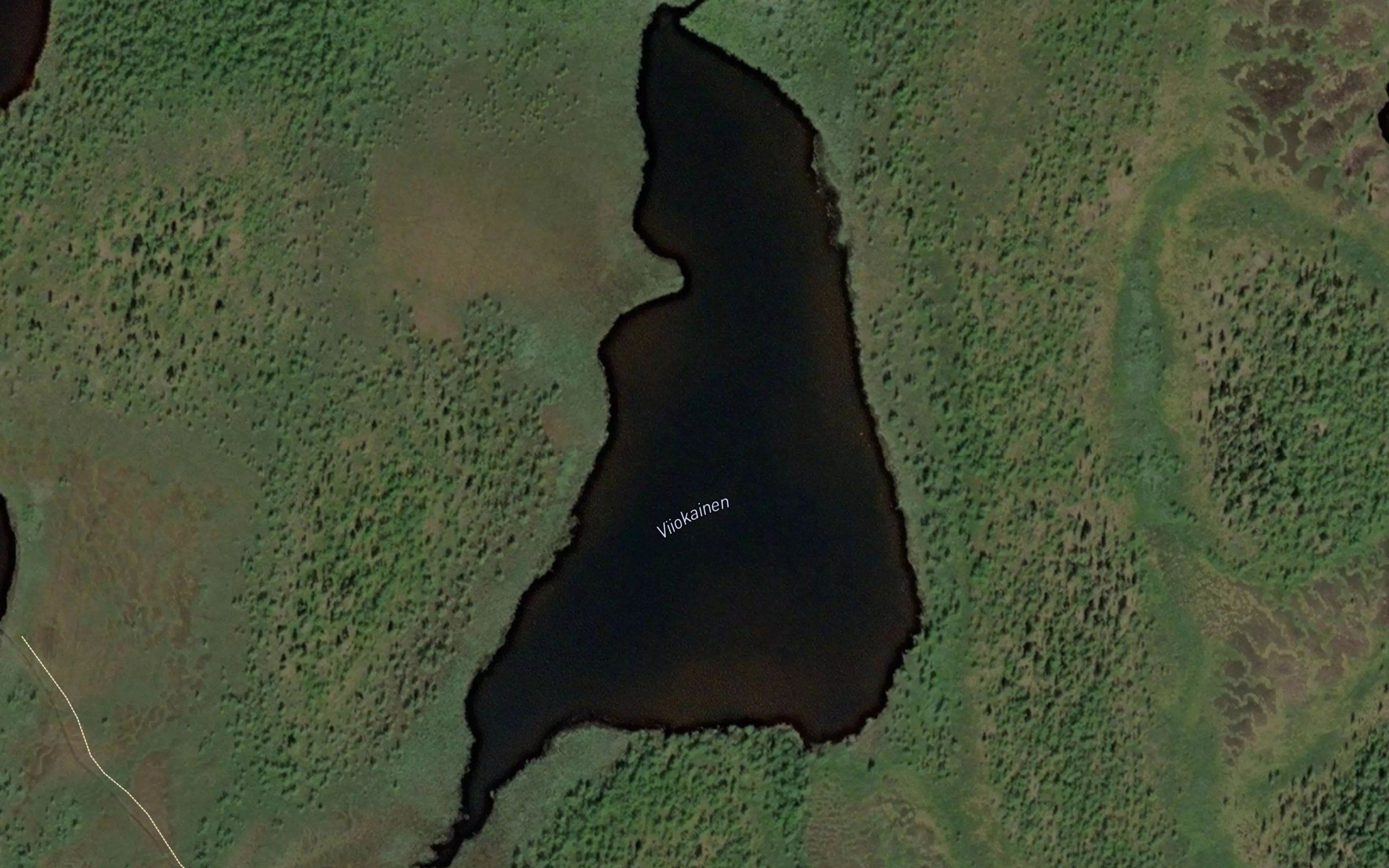 Viiokainen
