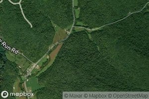 Pine Fork