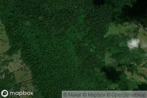 Canada Mata de Platano