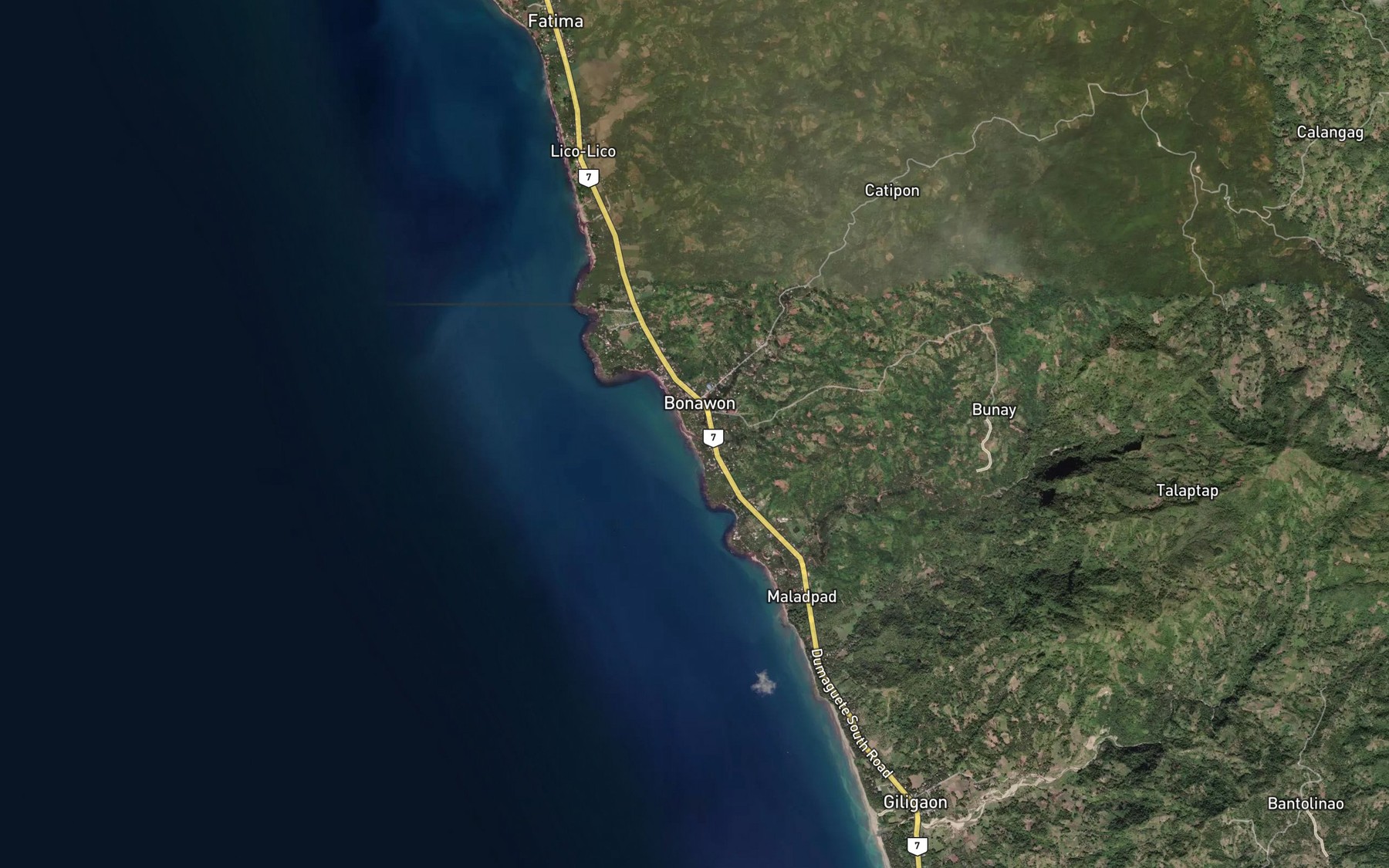 Satellite map of the Bonawon River