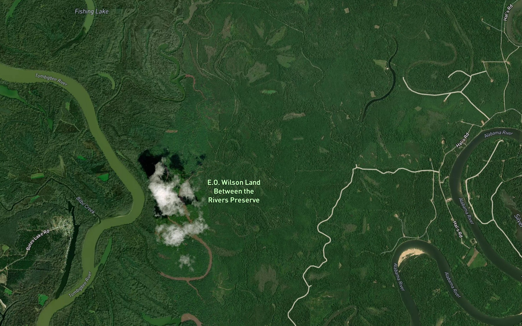 Satellite map of the Horsepen Creek