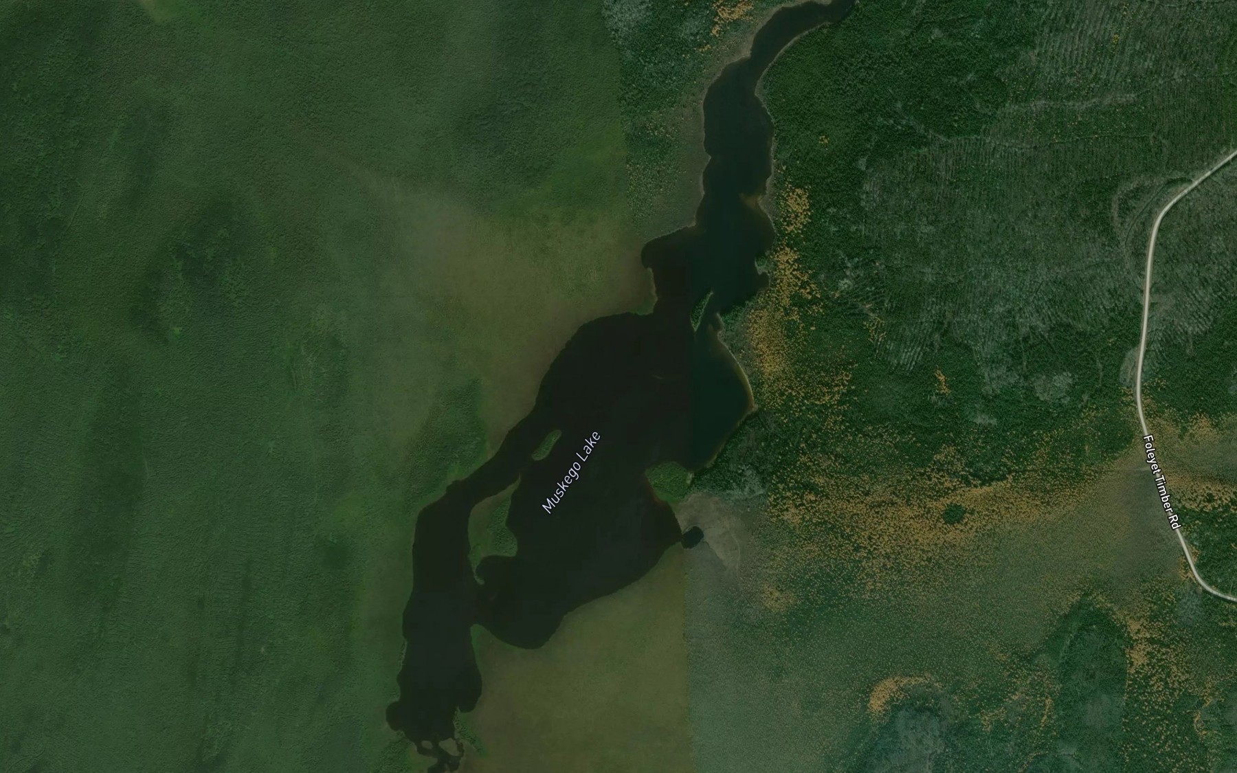 Satellite map of the Muskego Lake