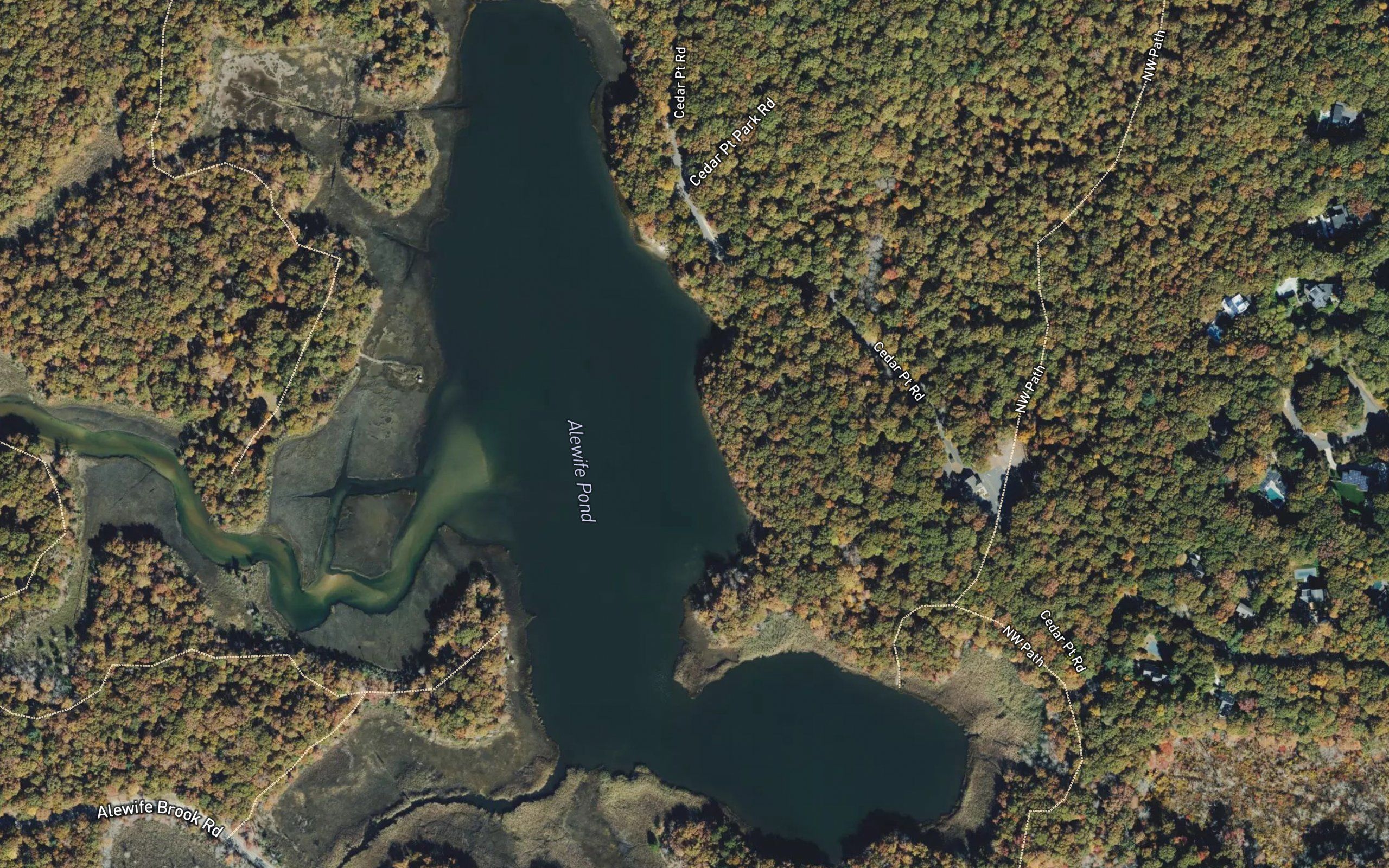 Alewife Pond