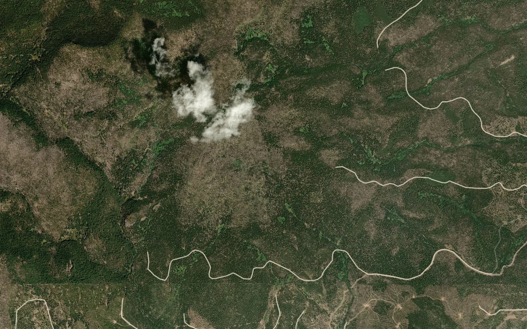 Satellite map of the Blue Buck Spring