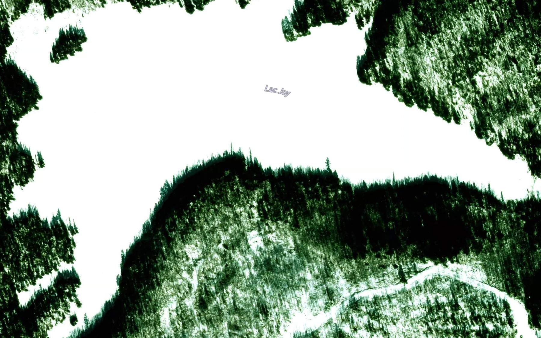 Satellite map of the Lac Joy