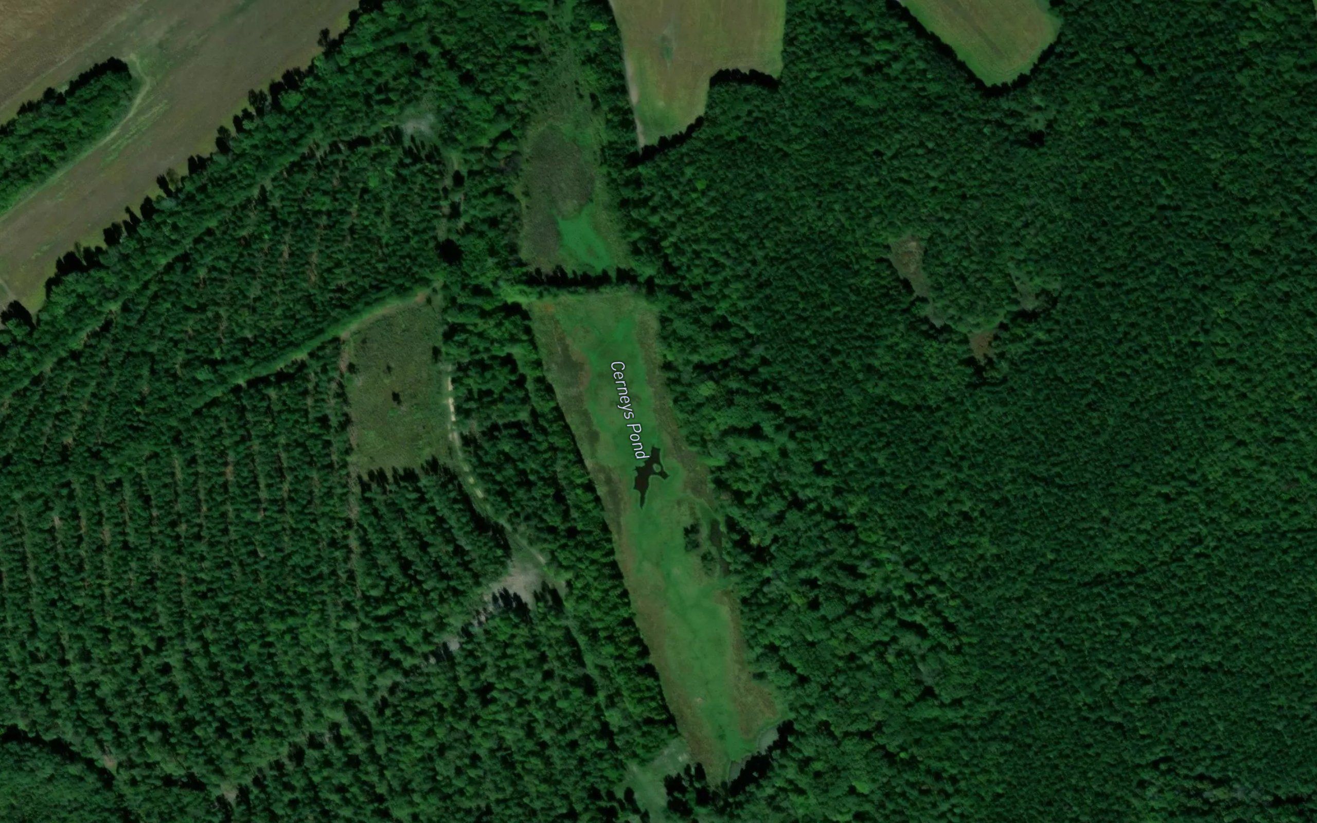 Cerneys Pond
