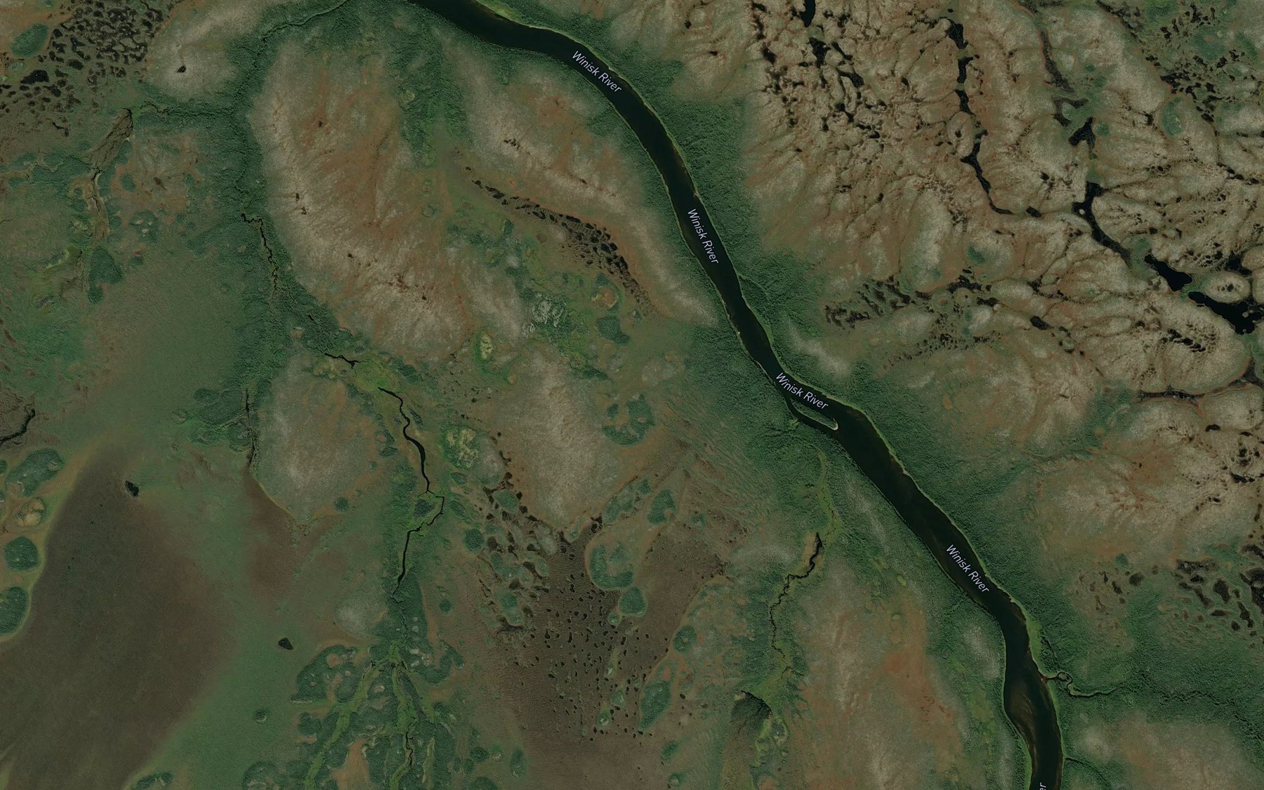 Satellite map of the Wadopi Brook