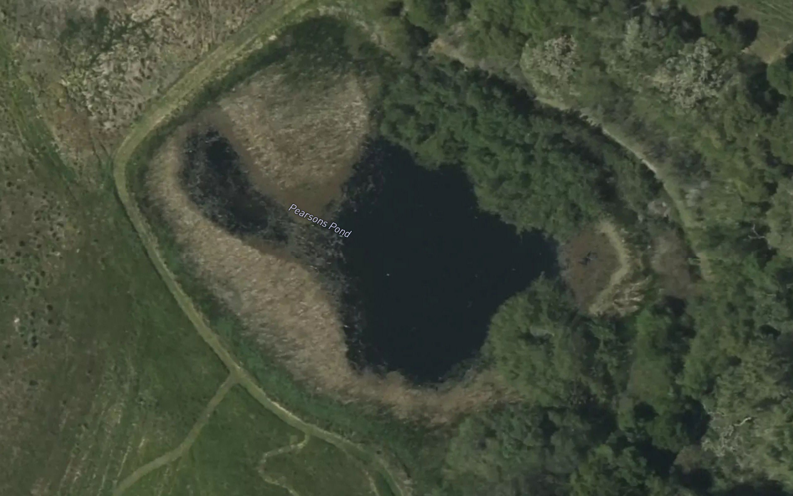 Pearsons Pond
