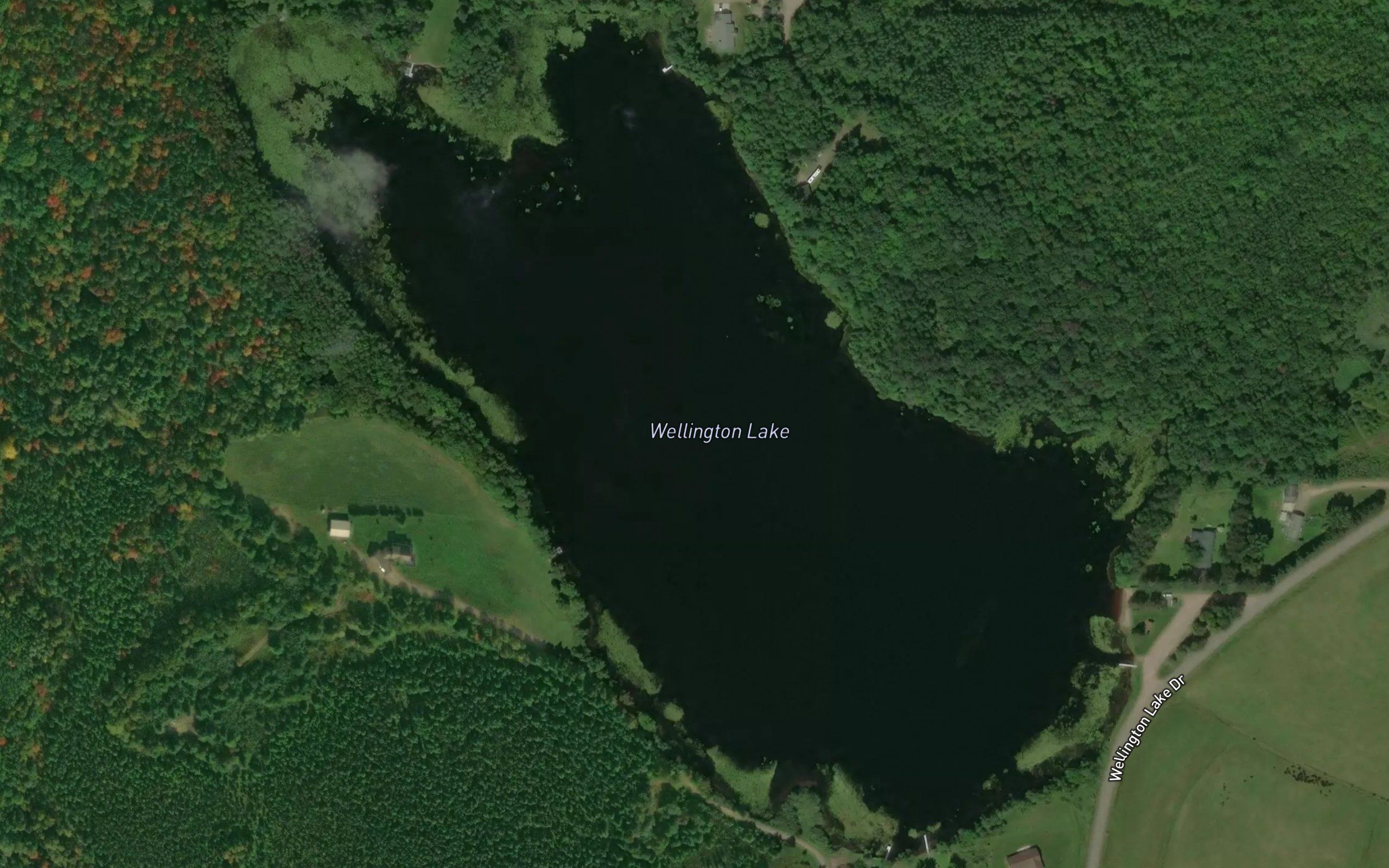Wellington Lake