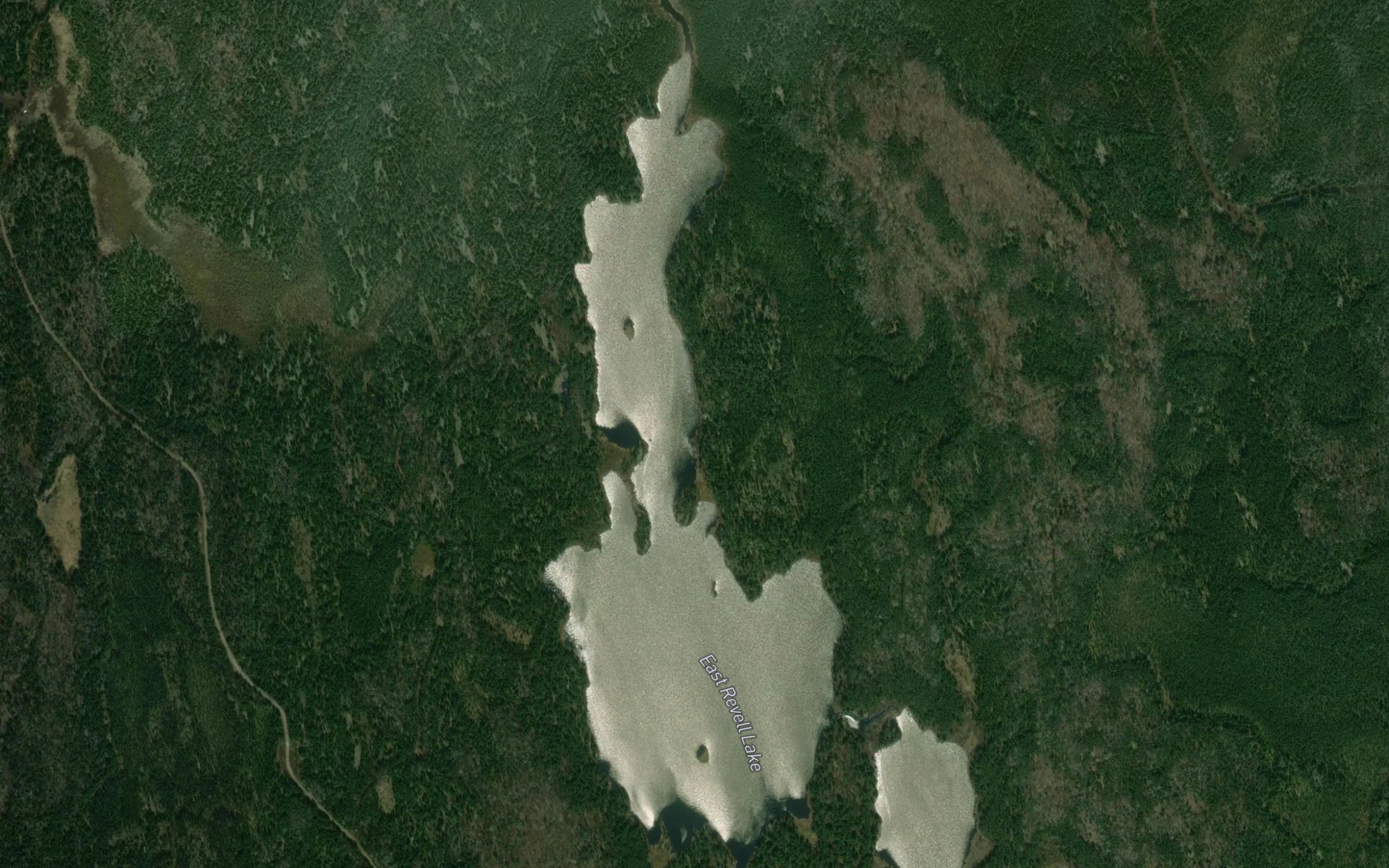 Satellite map of the East Revell Lake
