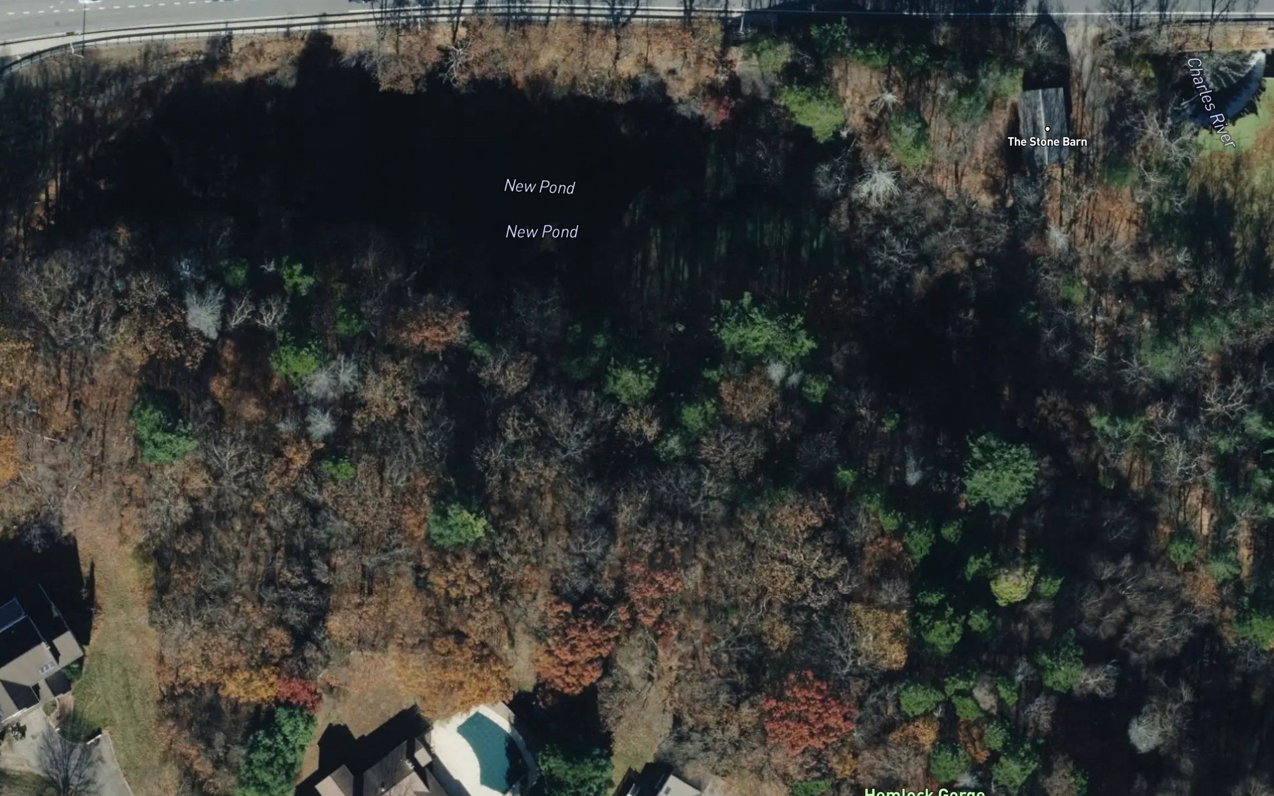 New Pond