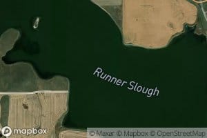 Runner Slough