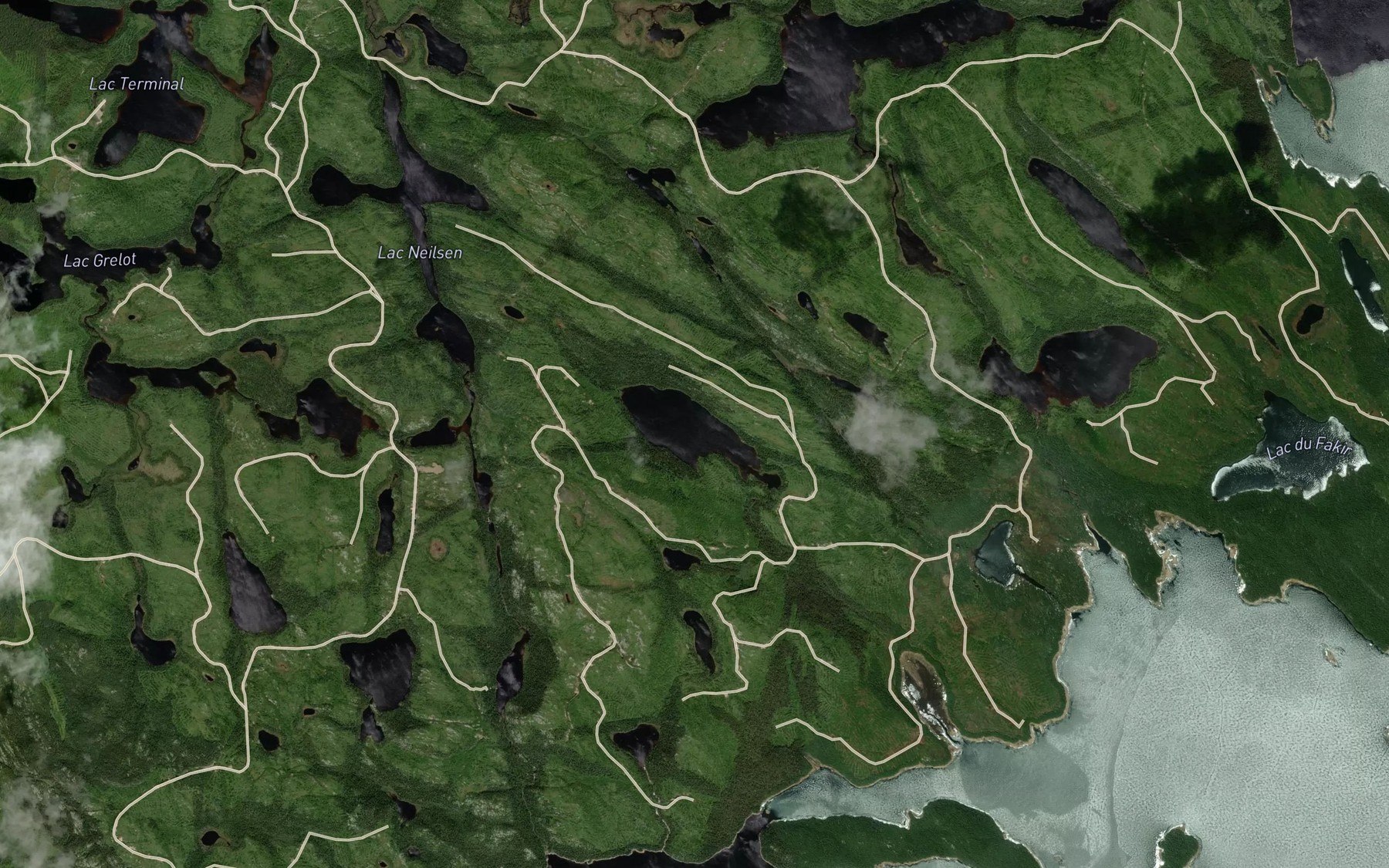 Satellite map of the Lac du Loup-Cervier