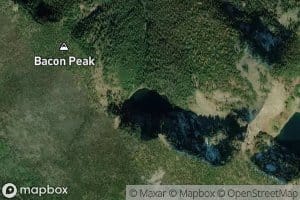 Forage Lake