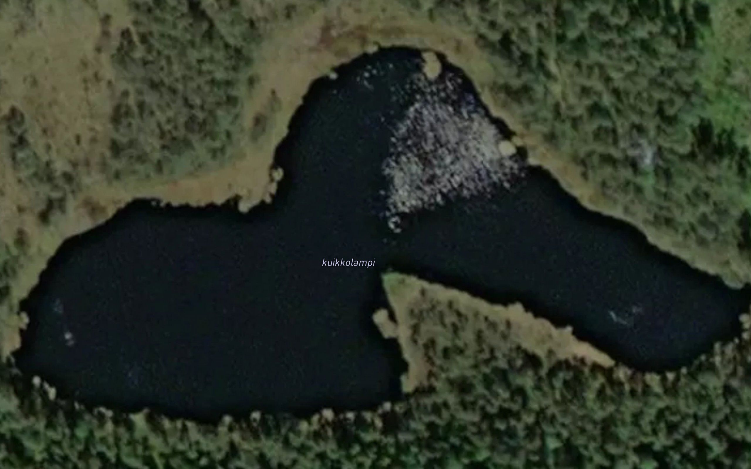 Kuikkolampi