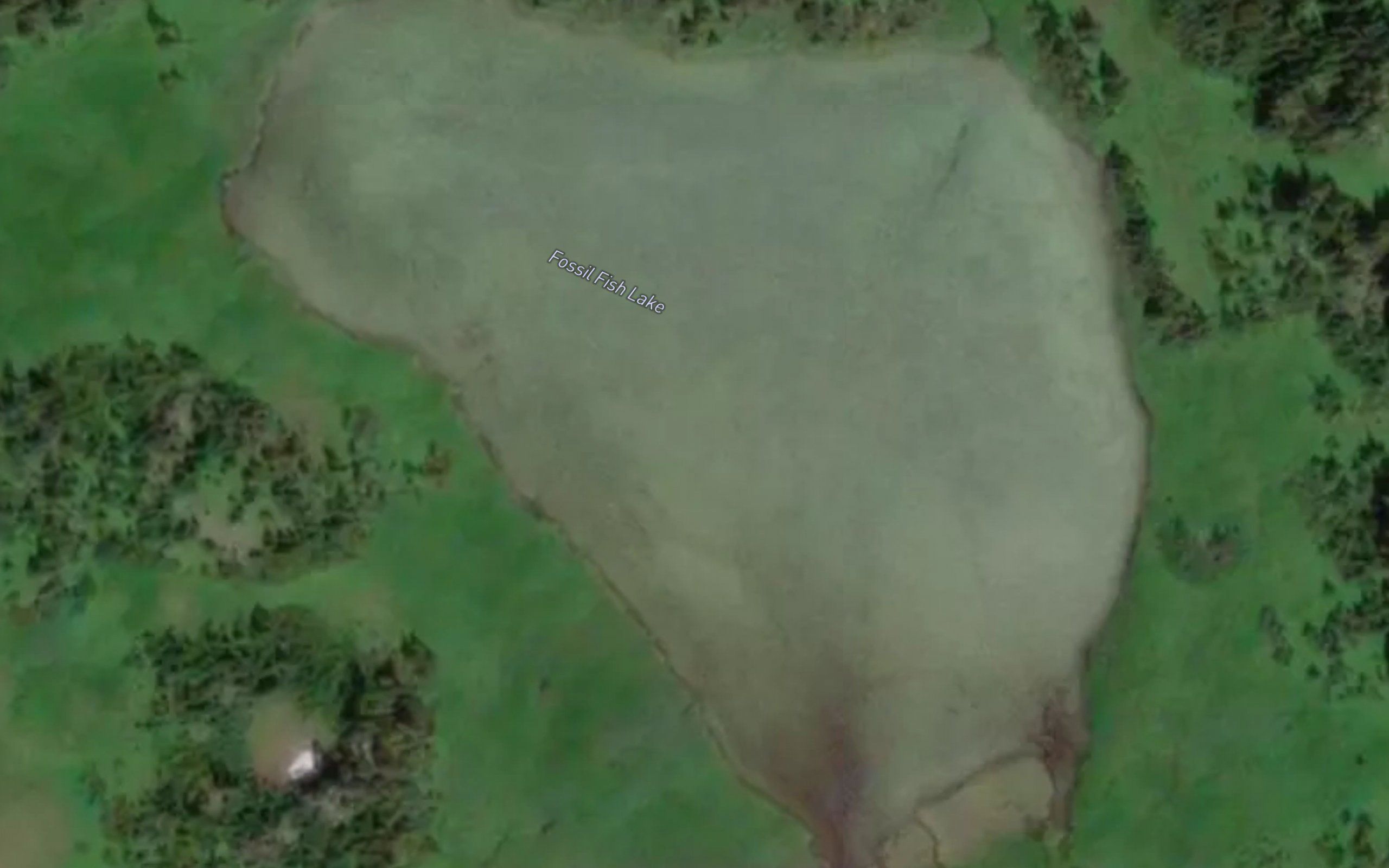 Fossil Fish Lake